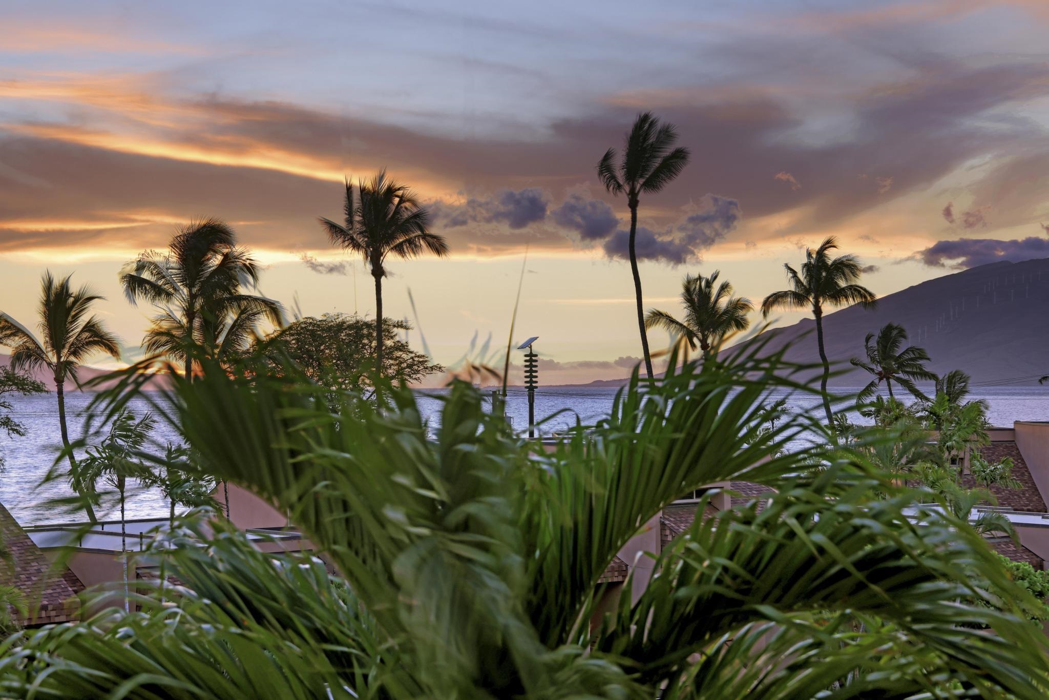 Kamaole Beach Royale condo # 309, Kihei, Hawaii - photo 25 of 38