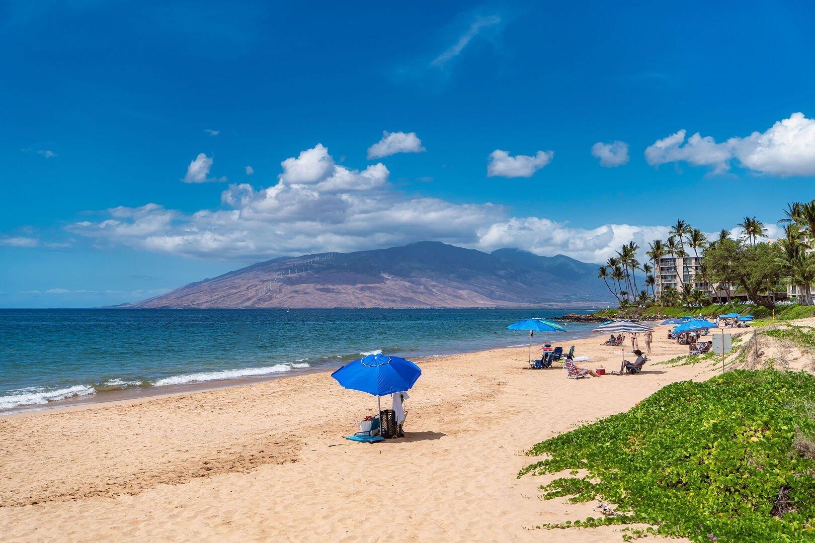 Kamaole Beach Royale condo # 409, Kihei, Hawaii - photo 34 of 34