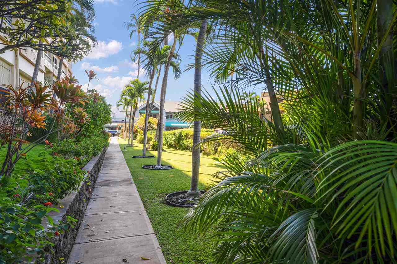 Kamaole Beach Royale condo # 608, Kihei, Hawaii - photo 26 of 29