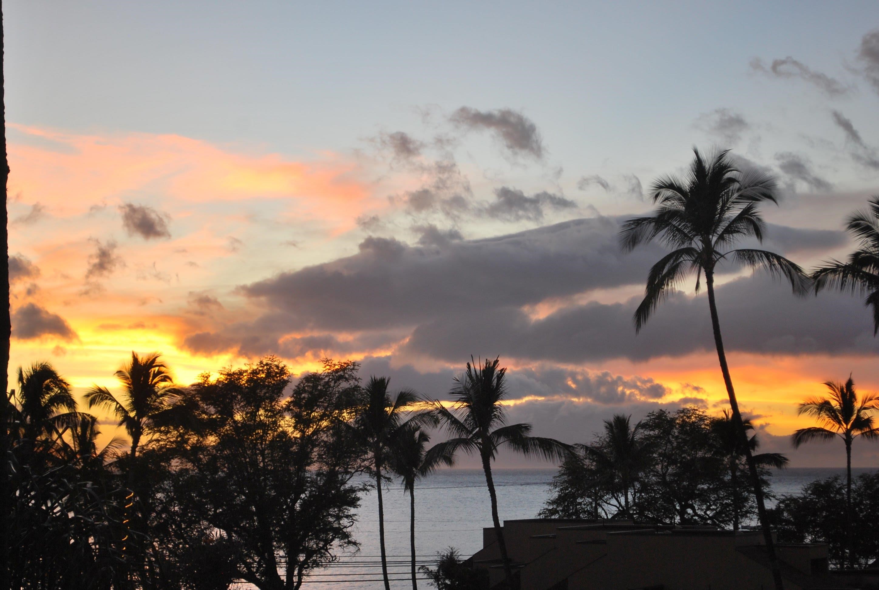 Kihei Alii Kai condo # A-302, Kihei, Hawaii - photo 34 of 34