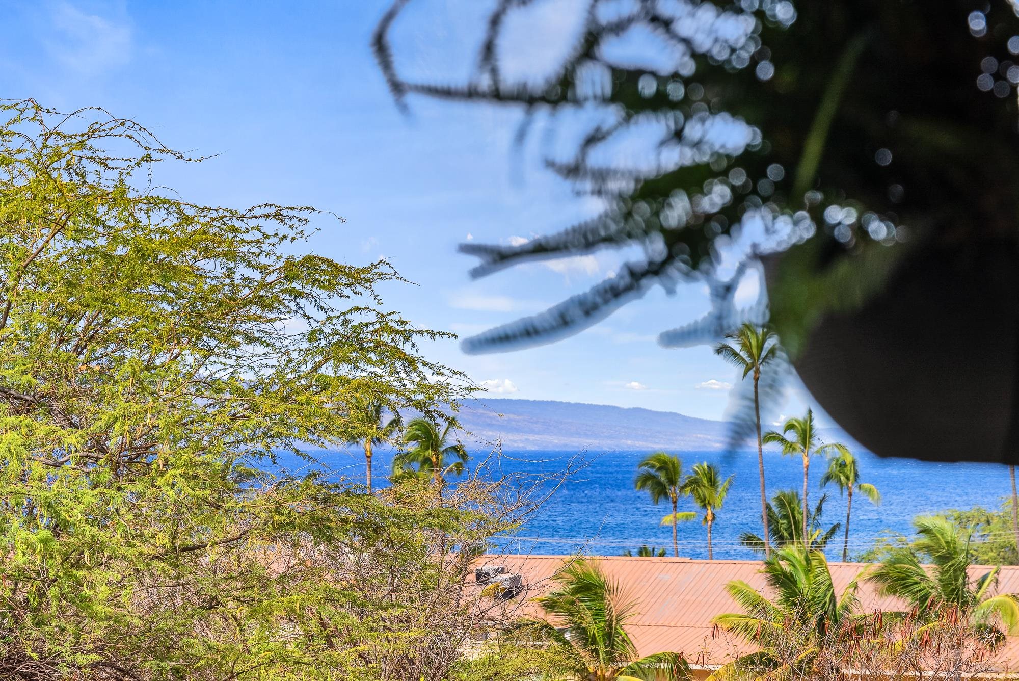 Kihei Alii Kai condo # D107, Kihei, Hawaii - photo 22 of 32