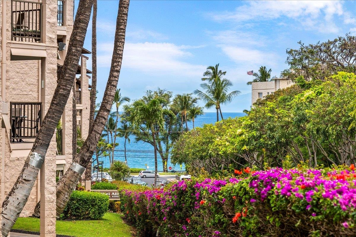 Kihei Alii Kai condo # C108, Kihei, Hawaii - photo 7 of 48