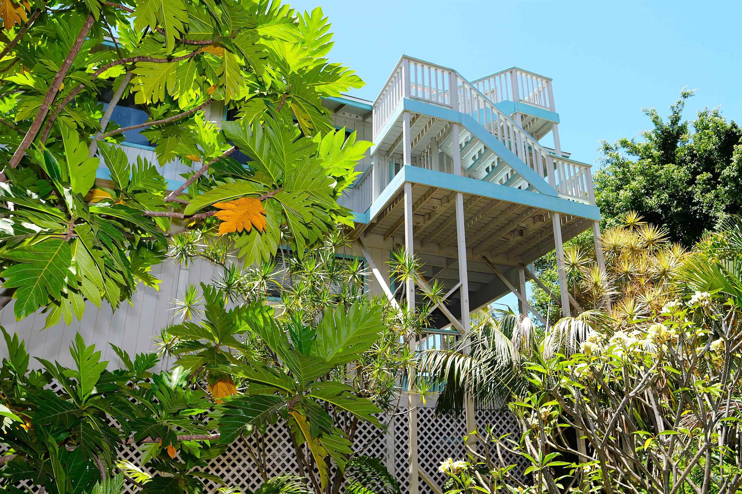 239  Keonekai Rd Keonekai, Kihei home - photo 19 of 32