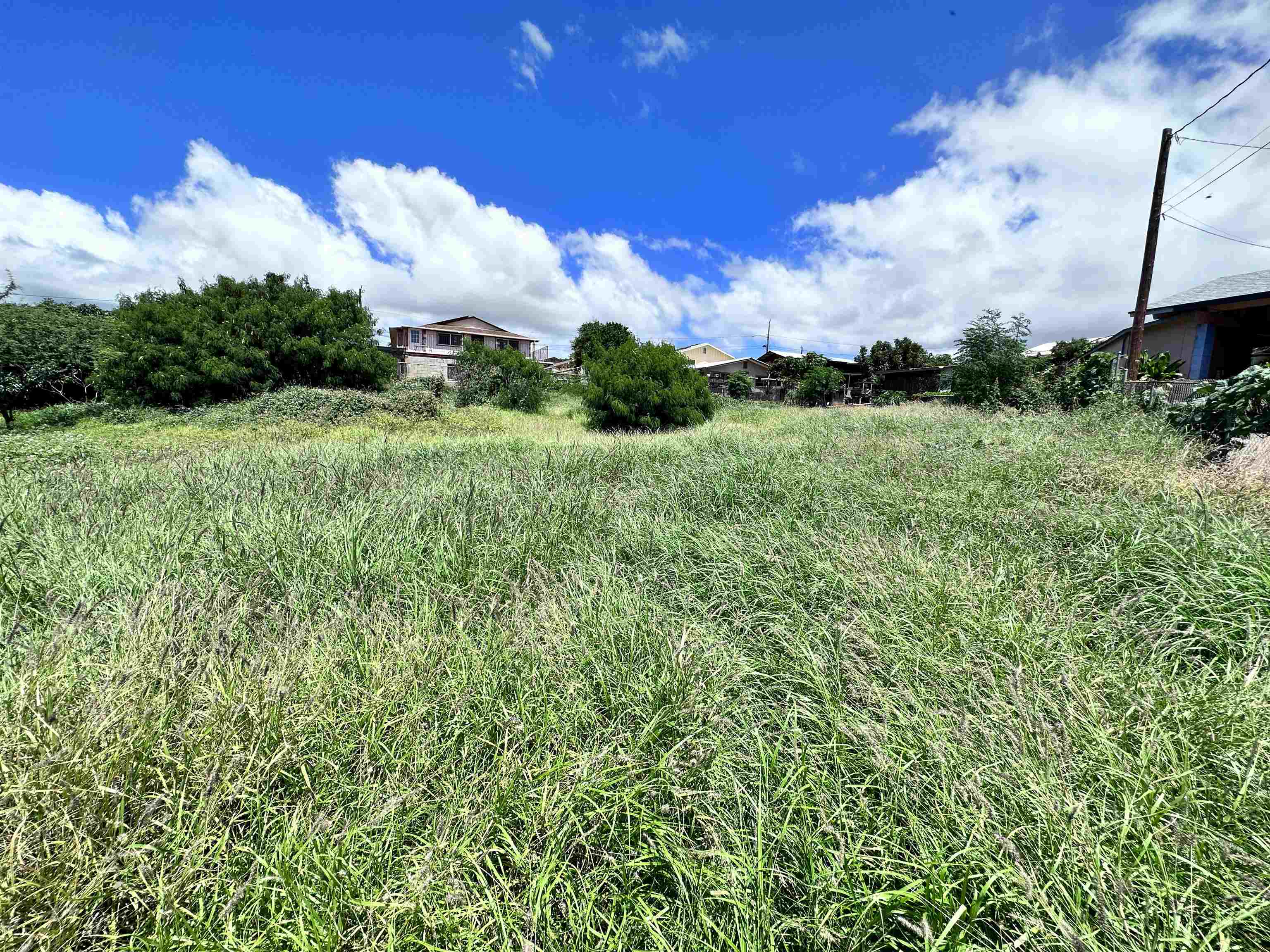 239 Wiliwili Pl  Kaunakakai, Hi vacant land for sale - photo 2 of 9