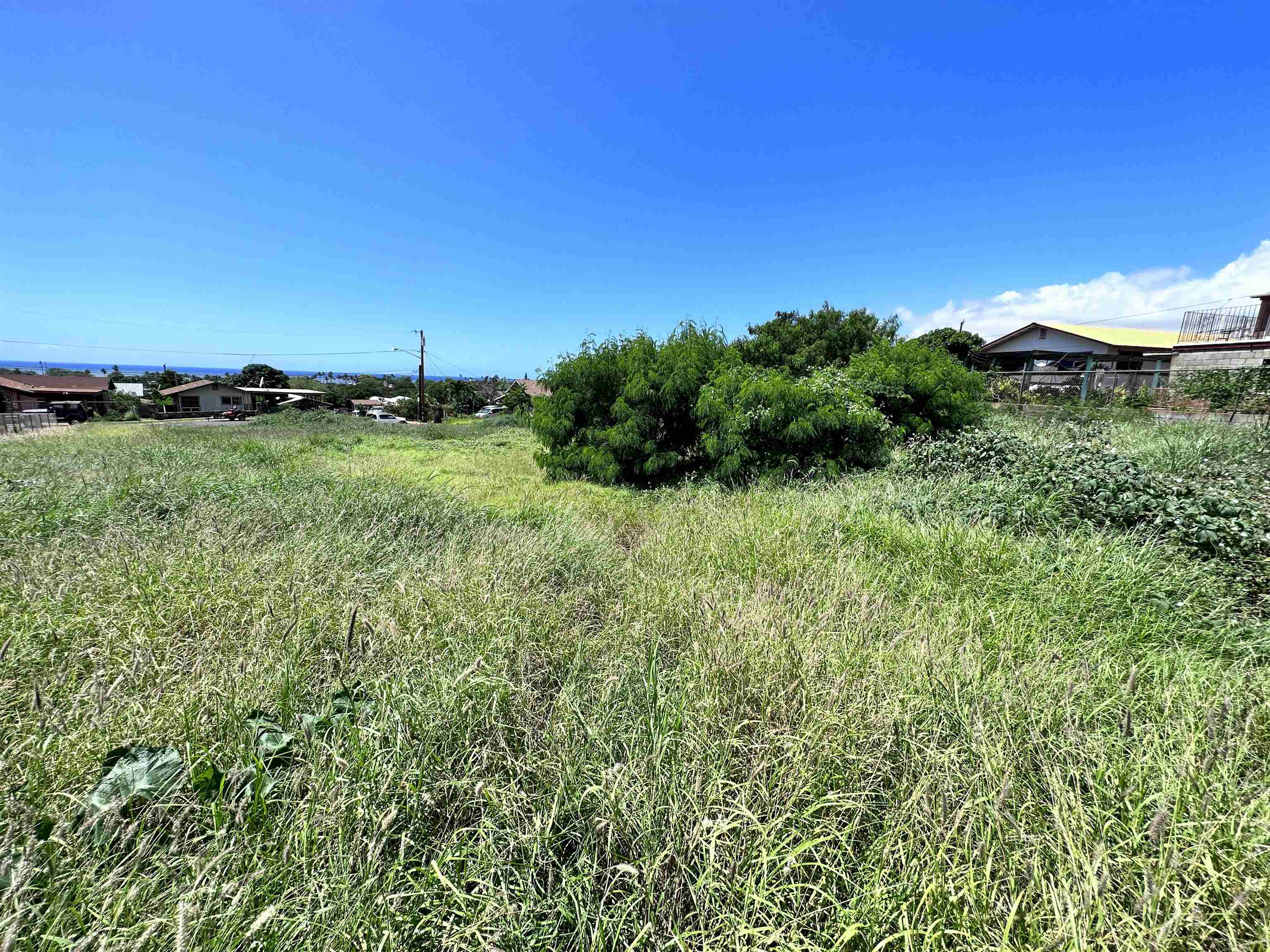 239 Wiliwili Pl  Kaunakakai, Hi vacant land for sale - photo 4 of 9
