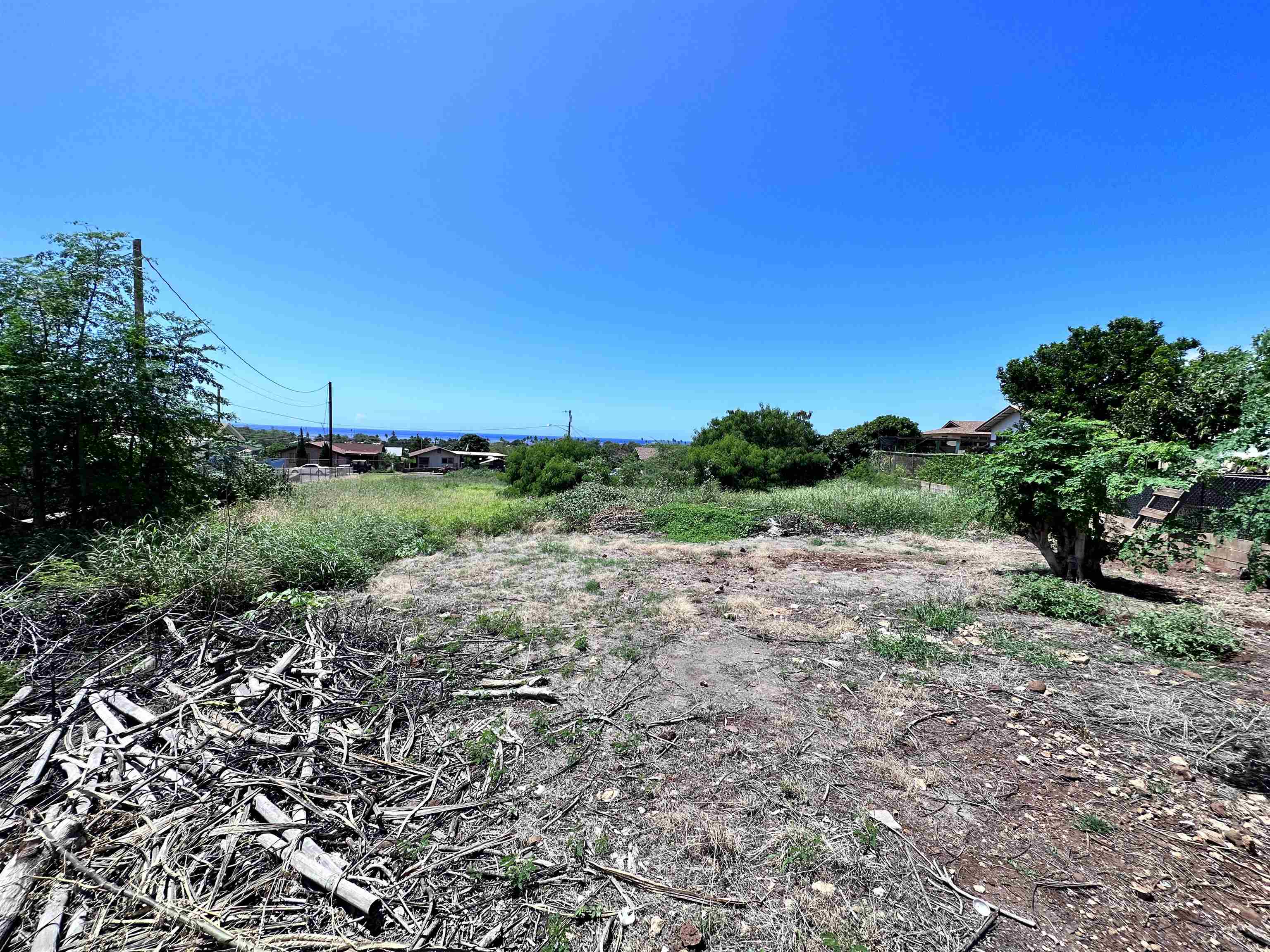 239 Wiliwili Pl  Kaunakakai, Hi vacant land for sale - photo 7 of 9