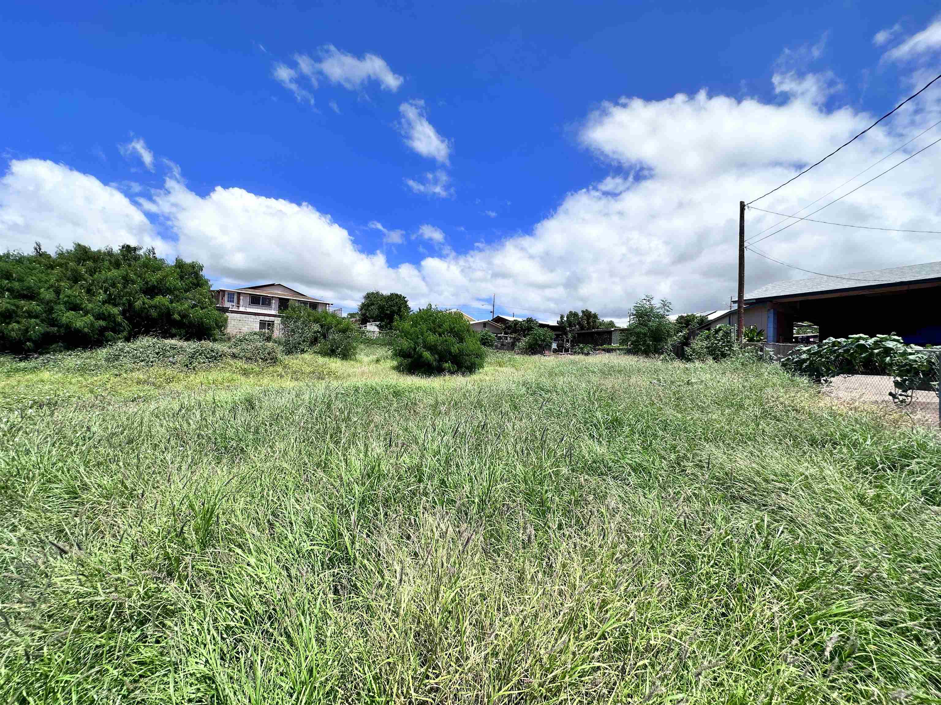 239 Wiliwili Pl  Kaunakakai, Hi vacant land for sale - photo 8 of 9