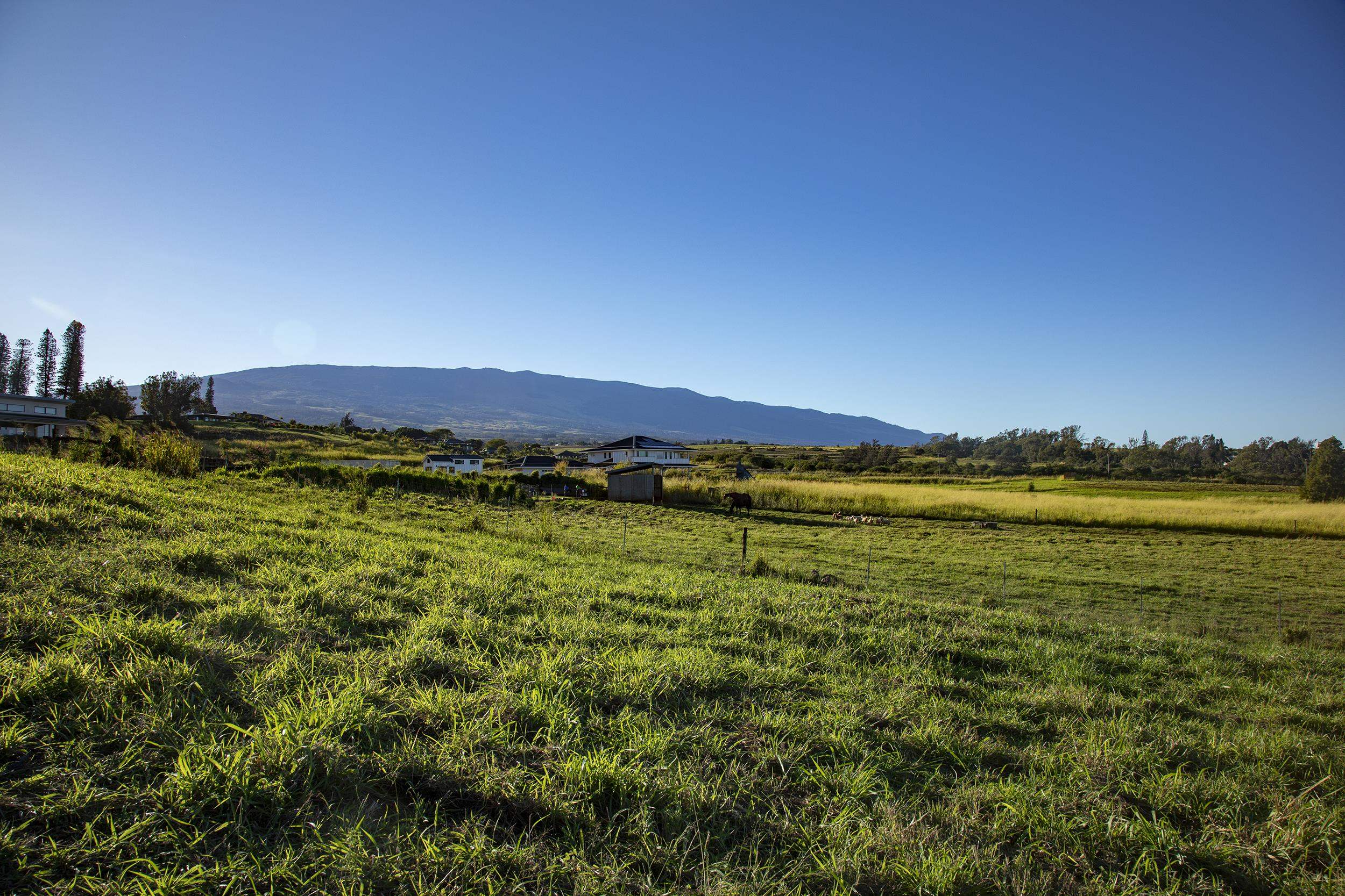 2390 Baldwin Ave Unit A Makawao, Hi vacant land for sale - photo 2 of 8