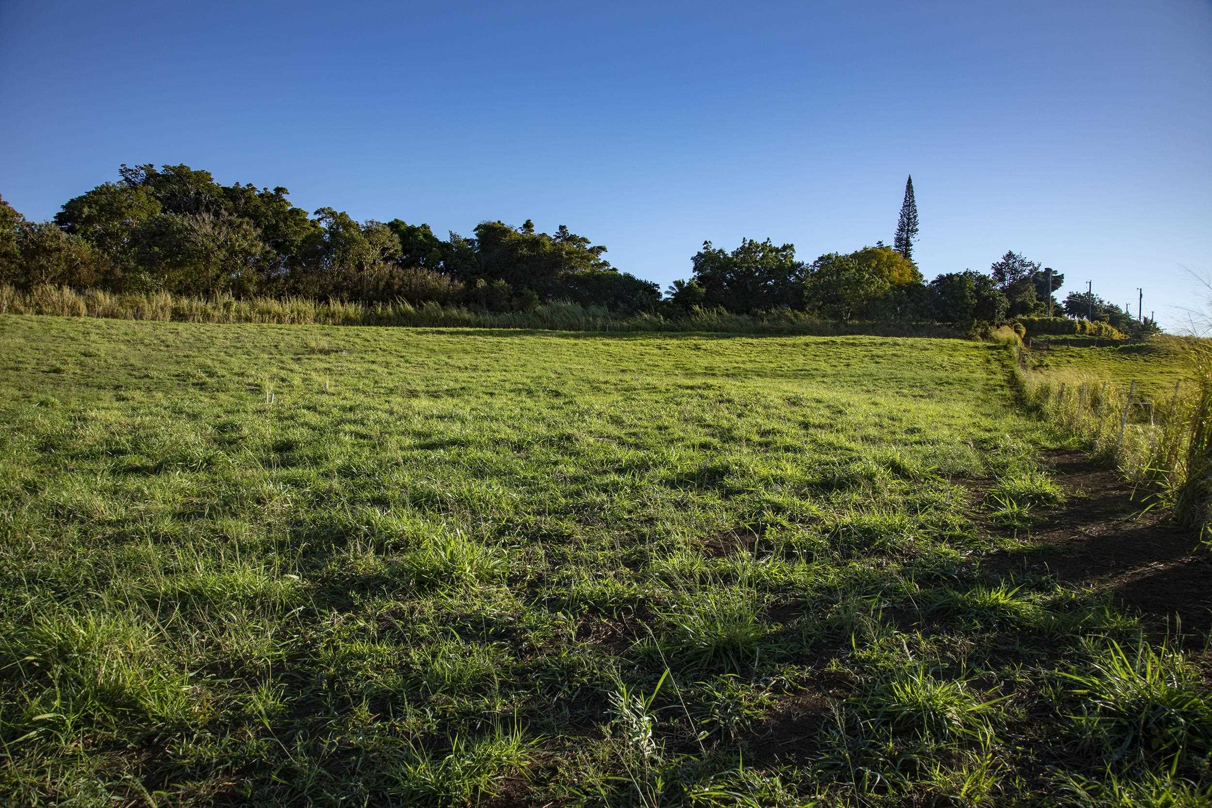 2390 Baldwin Ave Unit A Makawao, Hi vacant land for sale - photo 4 of 8