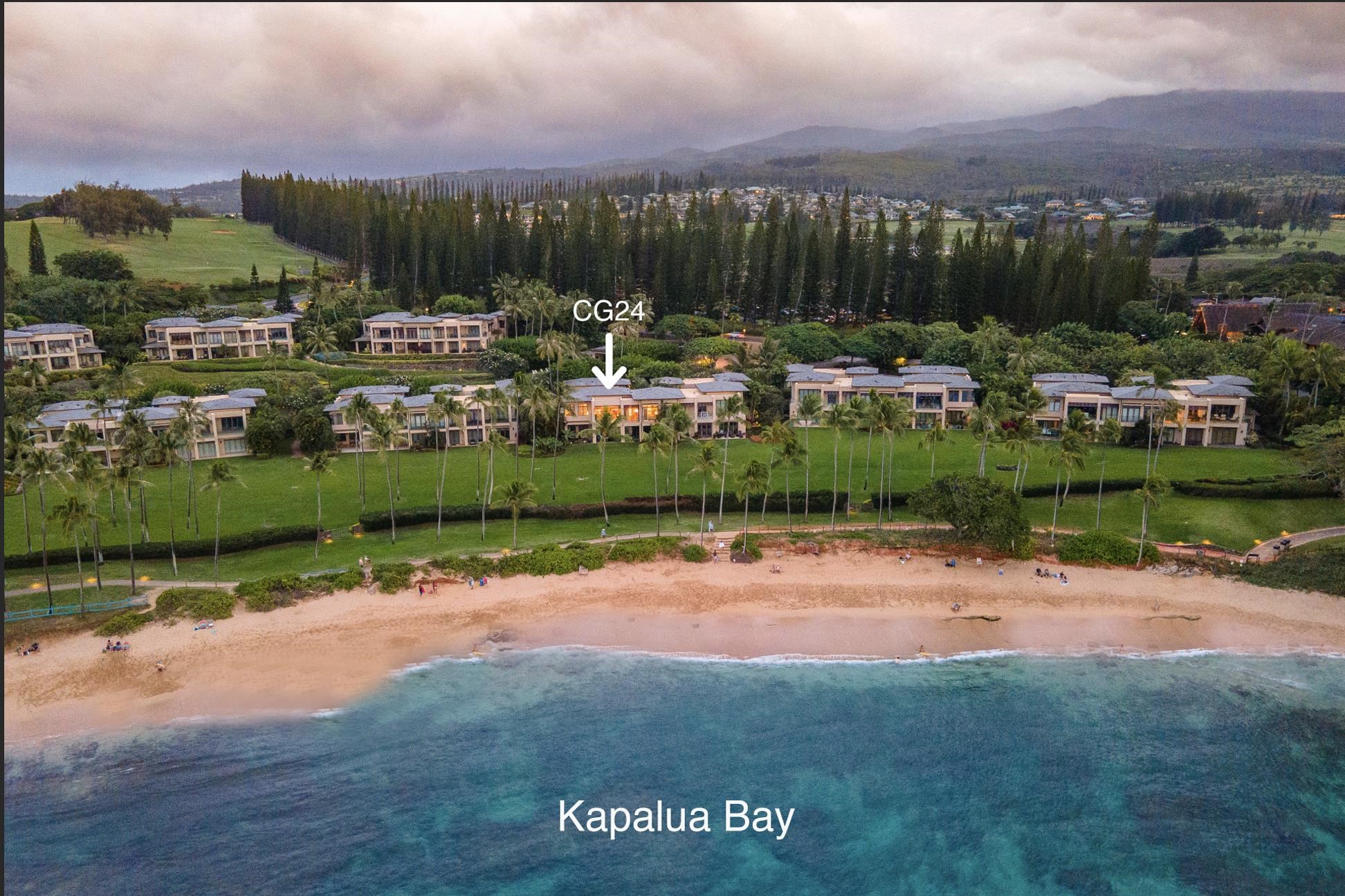 Coconut Grove condo # 24, Lahaina, Hawaii - photo 2 of 33