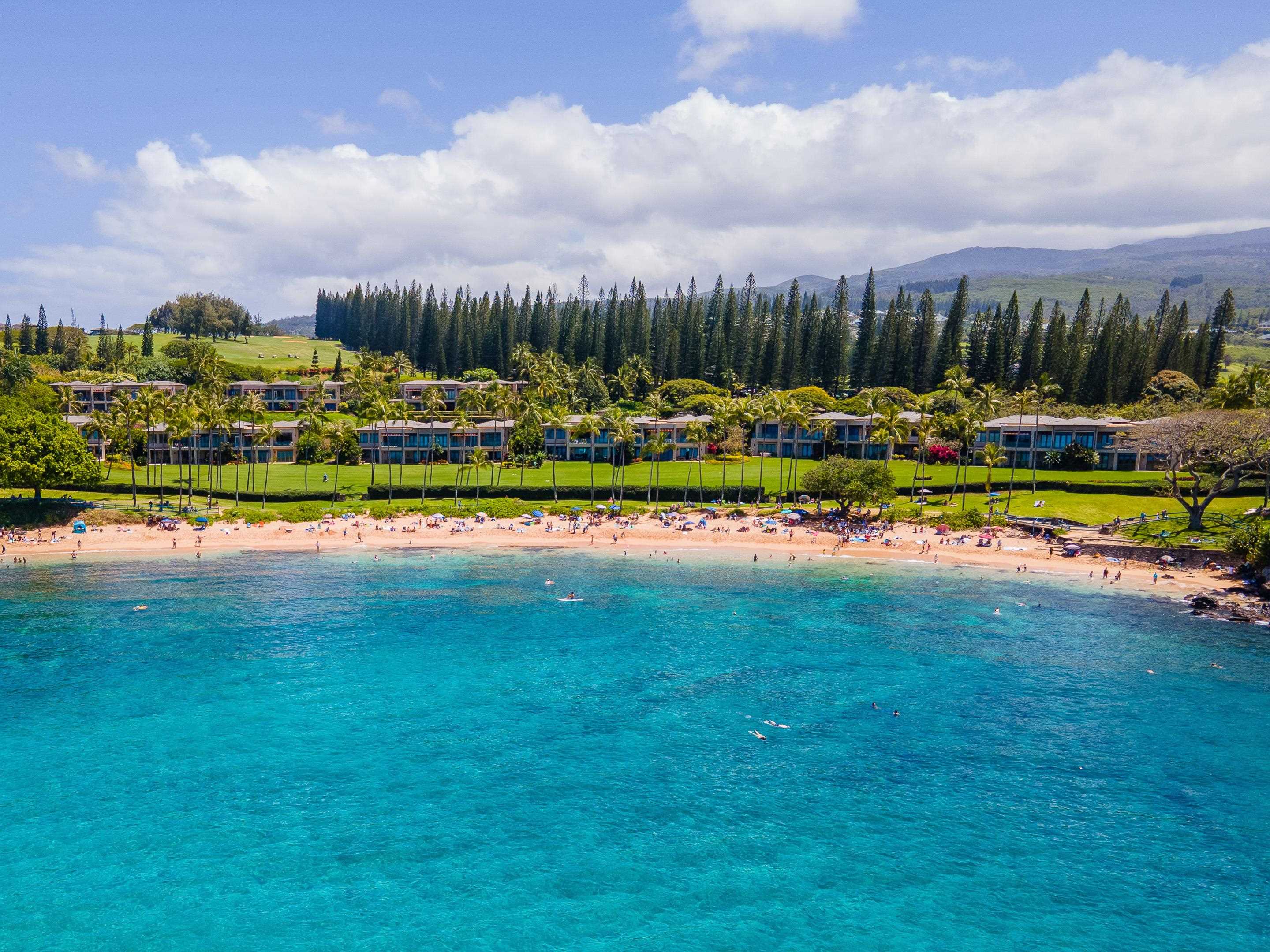 Coconut Grove condo # 24, Lahaina, Hawaii - photo 3 of 33