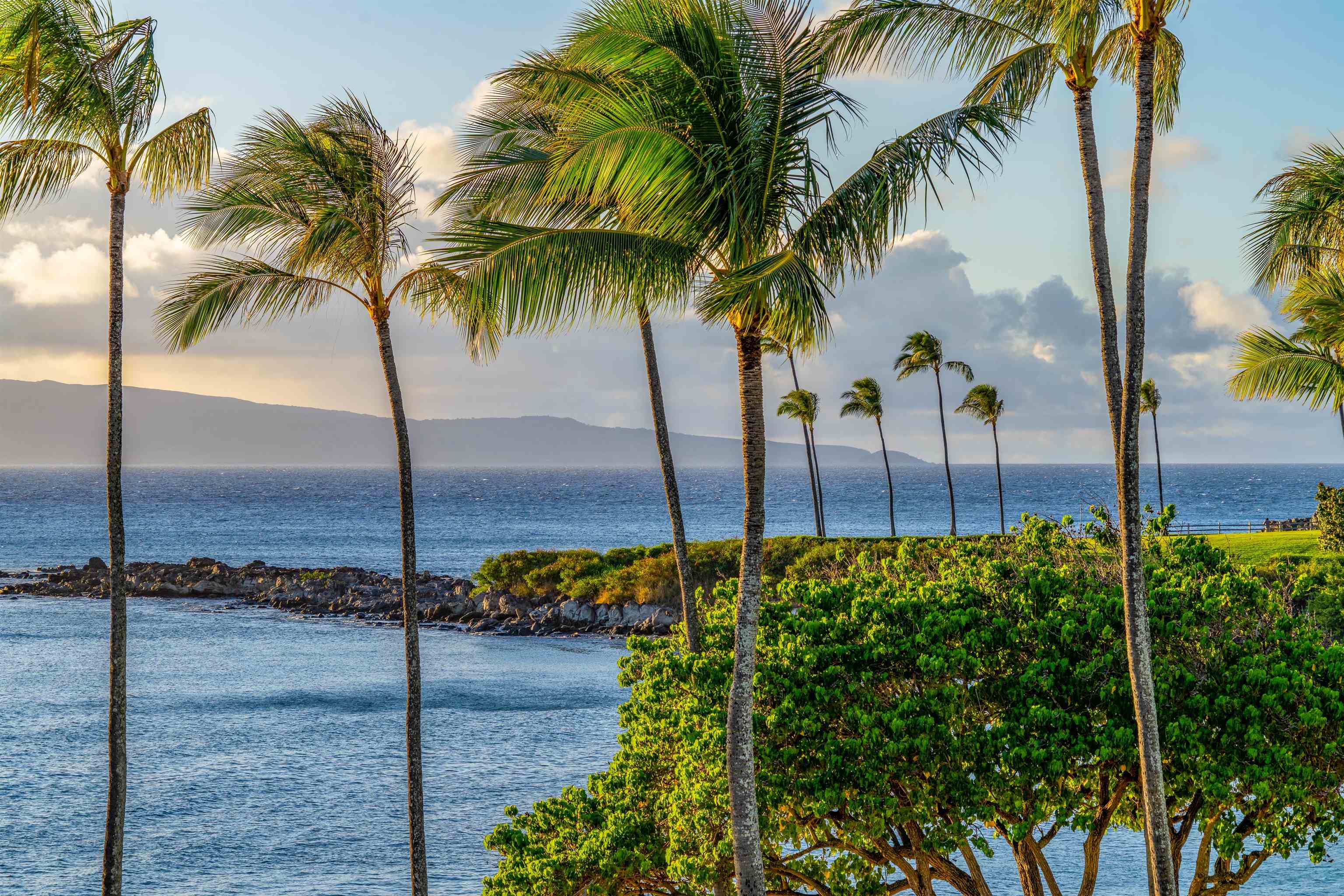 Coconut Grove condo # 24, Lahaina, Hawaii - photo 32 of 33