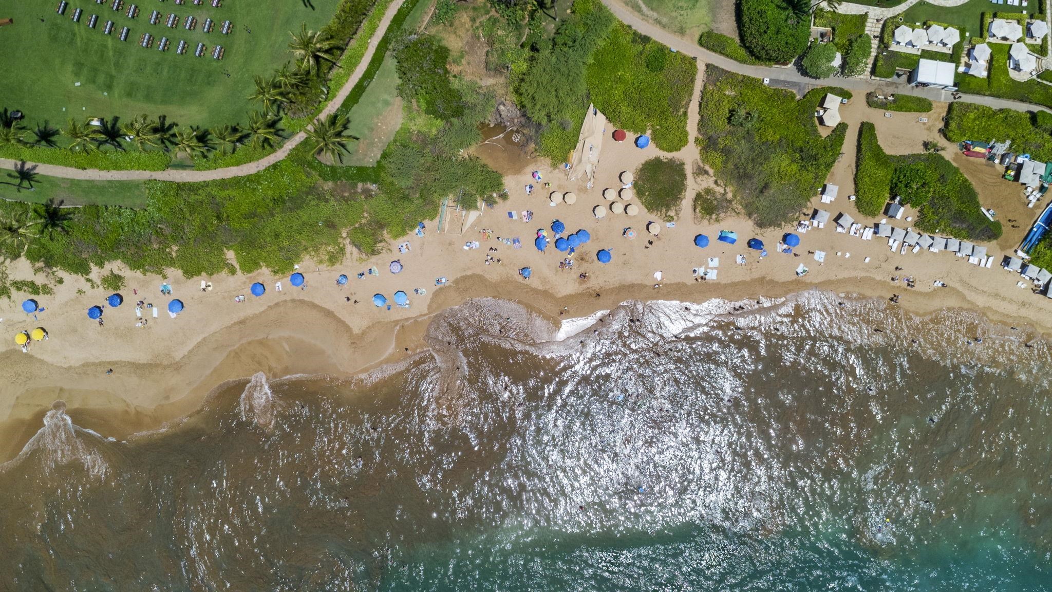 Hoolei condo # T-1, Kihei, Hawaii - photo 50 of 50