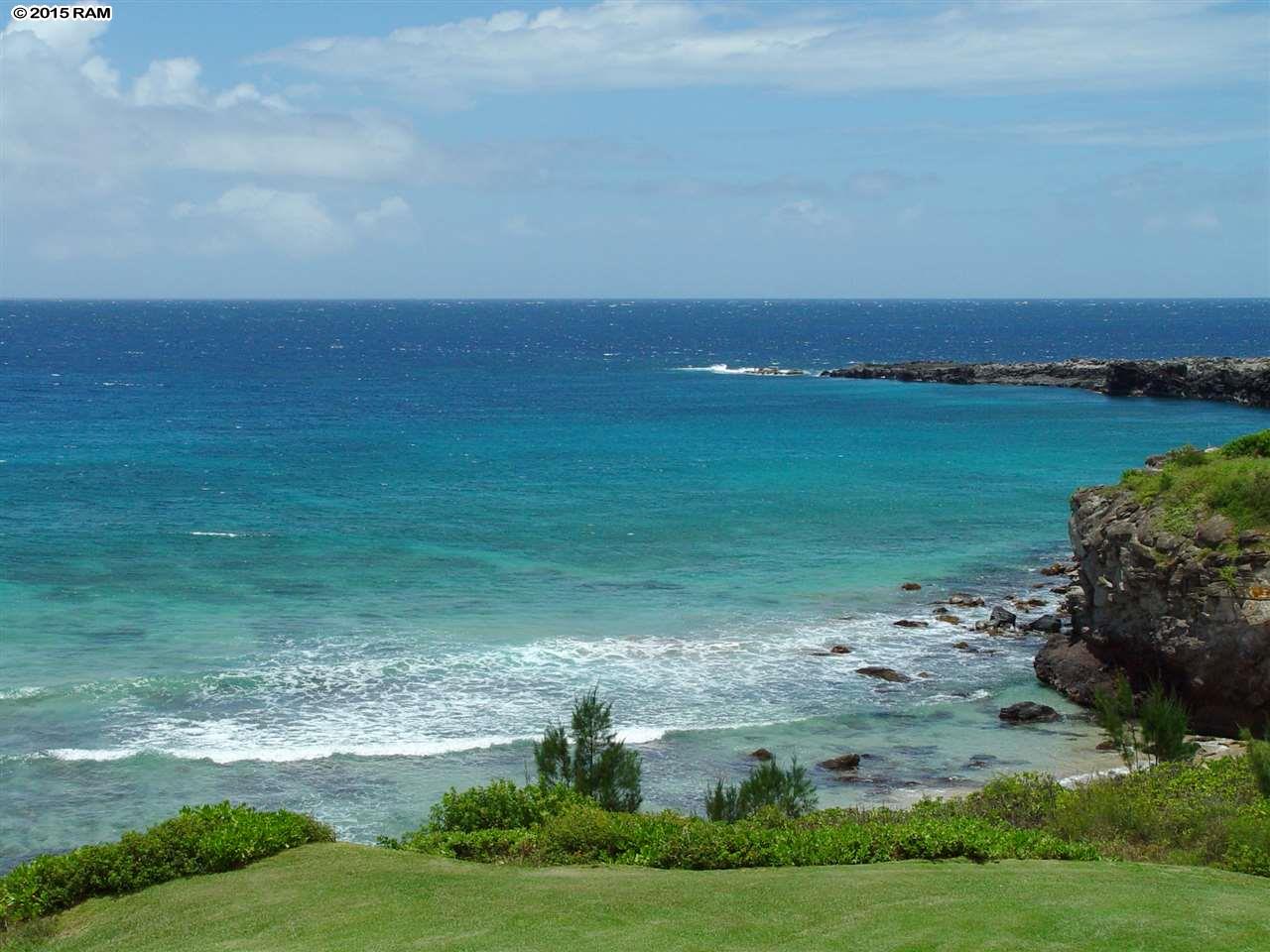 Kapalua Ironwoods condo # 24, Lahaina, Hawaii - photo 24 of 30