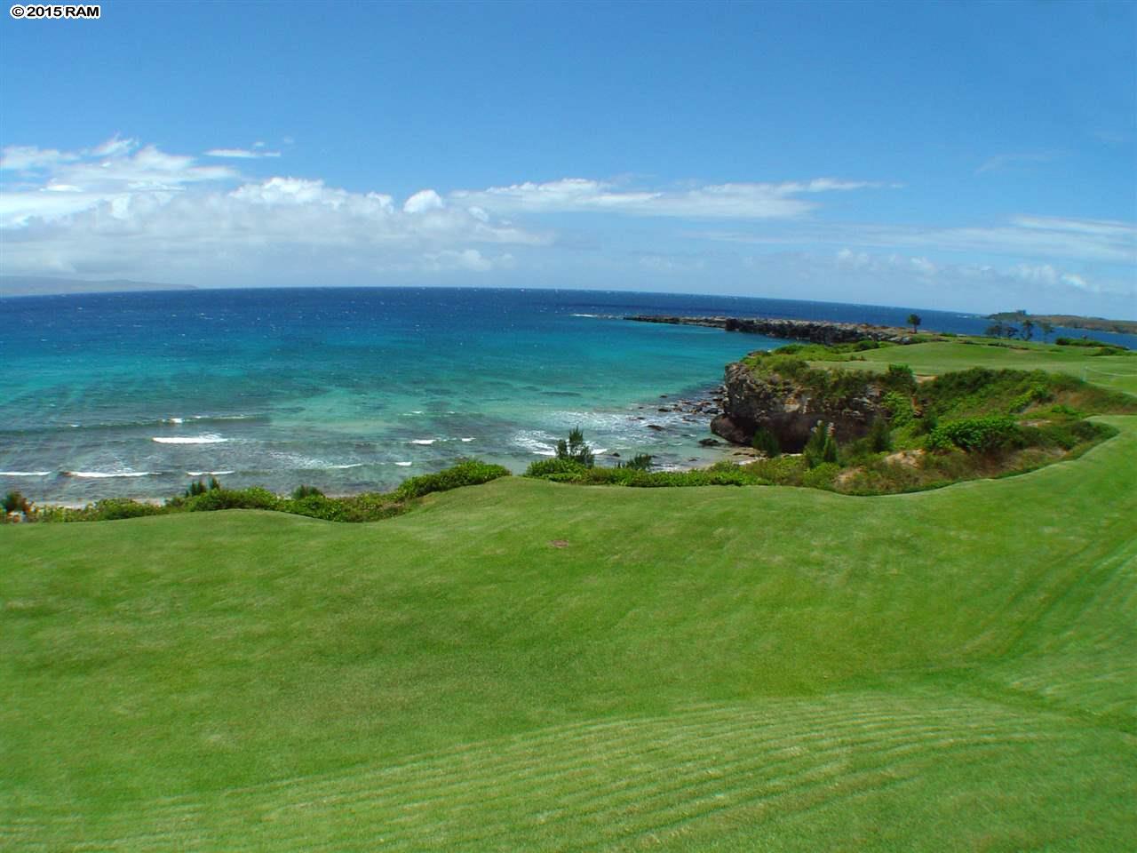 Kapalua Ironwoods condo # 24, Lahaina, Hawaii - photo 28 of 30