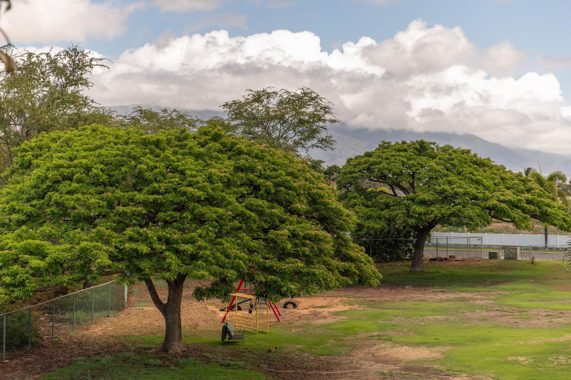 24  Laumakani Loop Central Kihei, Kihei home - photo 34 of 50