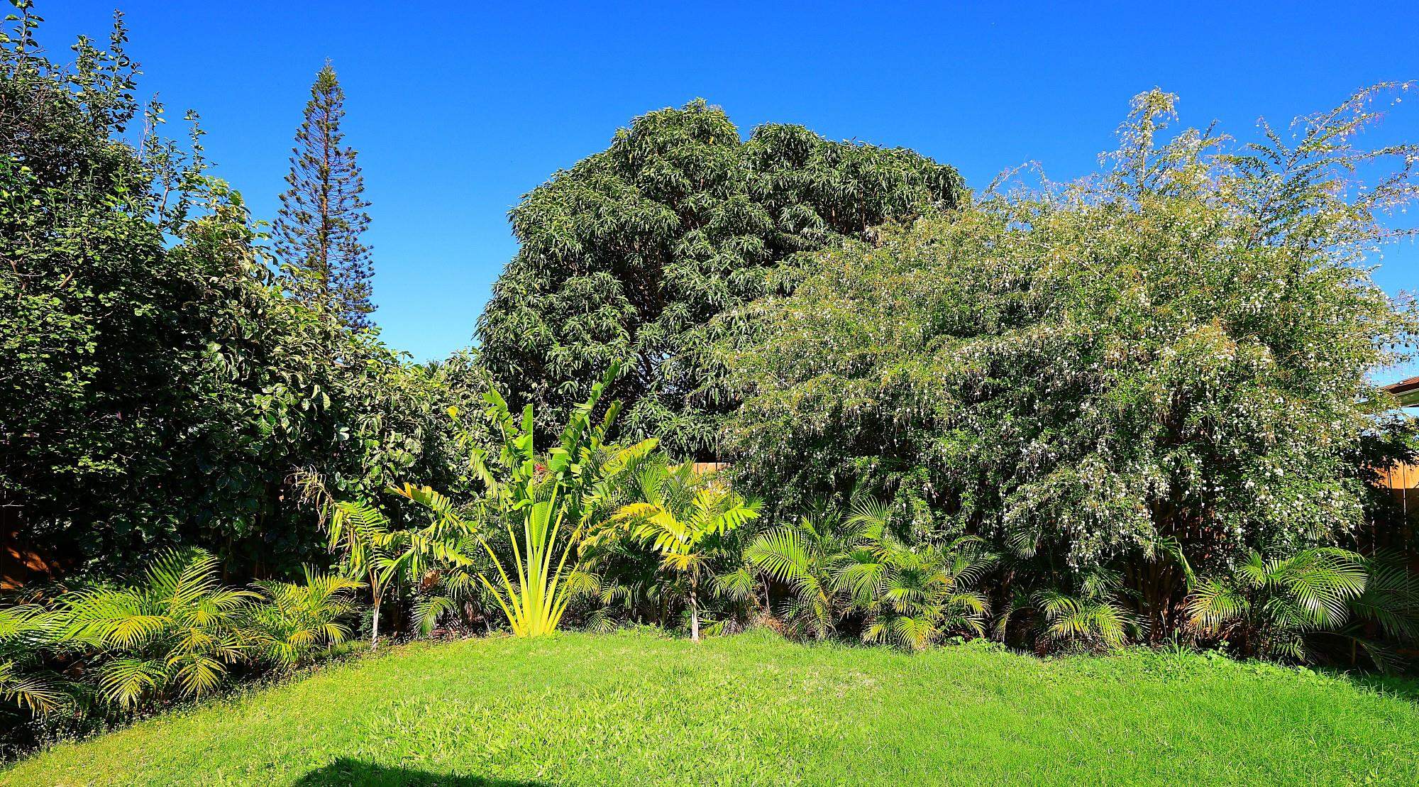 24  Olali St Mahinahina, Napili/Kahana/Honokowai home - photo 15 of 50