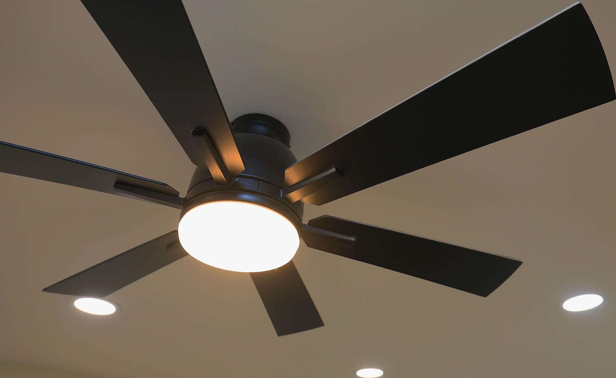 24  Olali St Mahinahina, Napili/Kahana/Honokowai home - photo 42 of 50