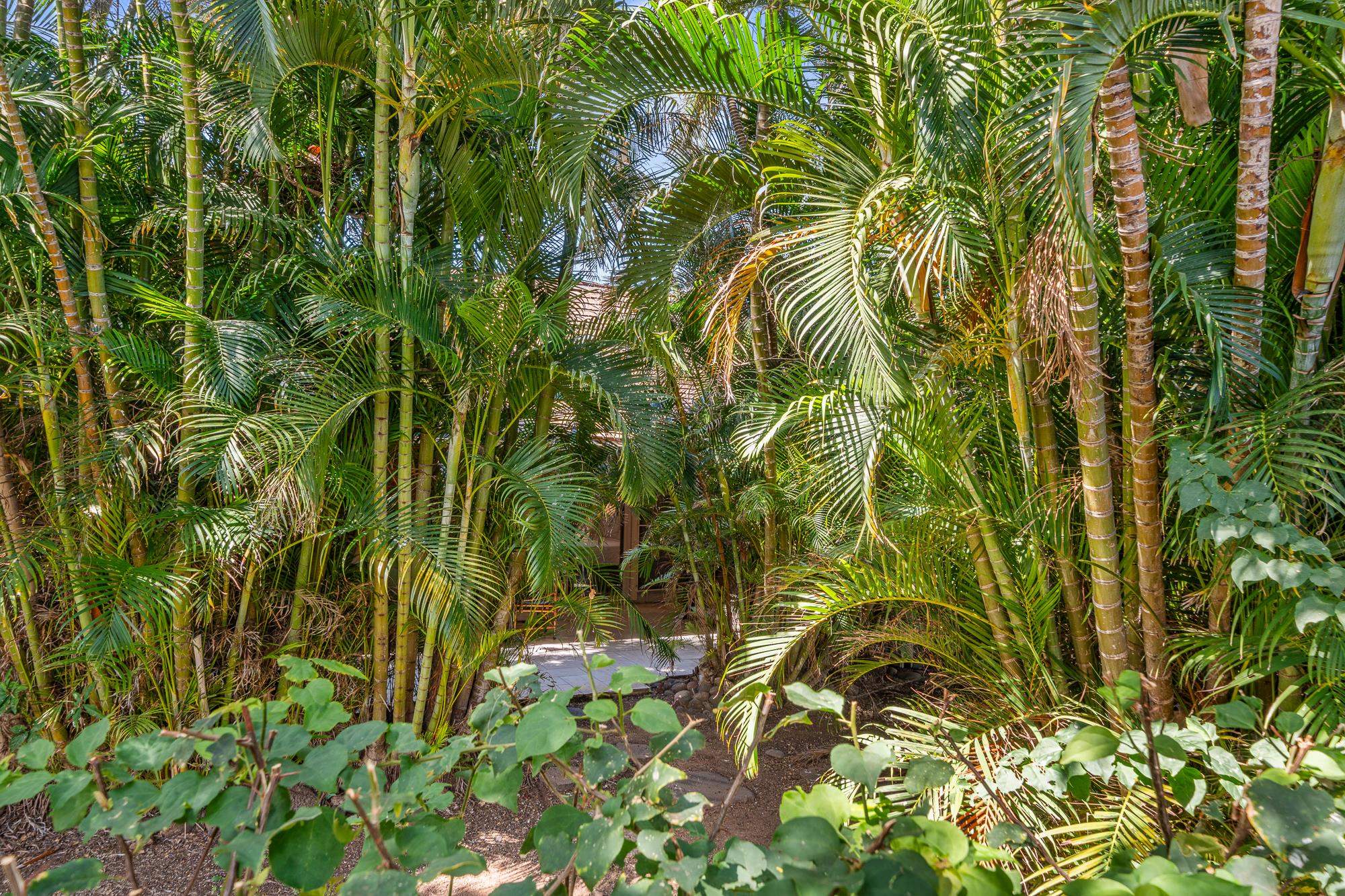 Puamana condo # 24-3, Lahaina, Hawaii - photo 22 of 41