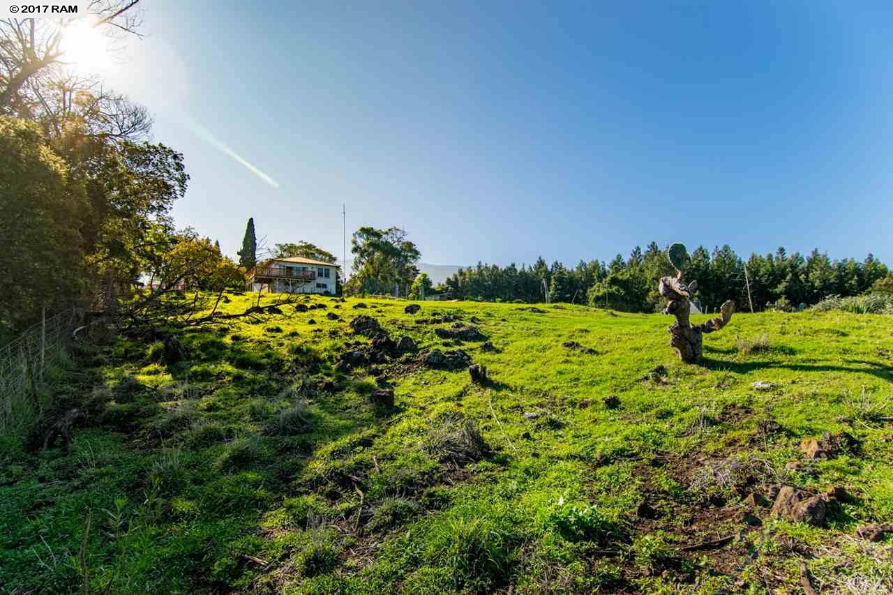240  Copp Rd , Kula/Ulupalakua/Kanaio home - photo 23 of 27