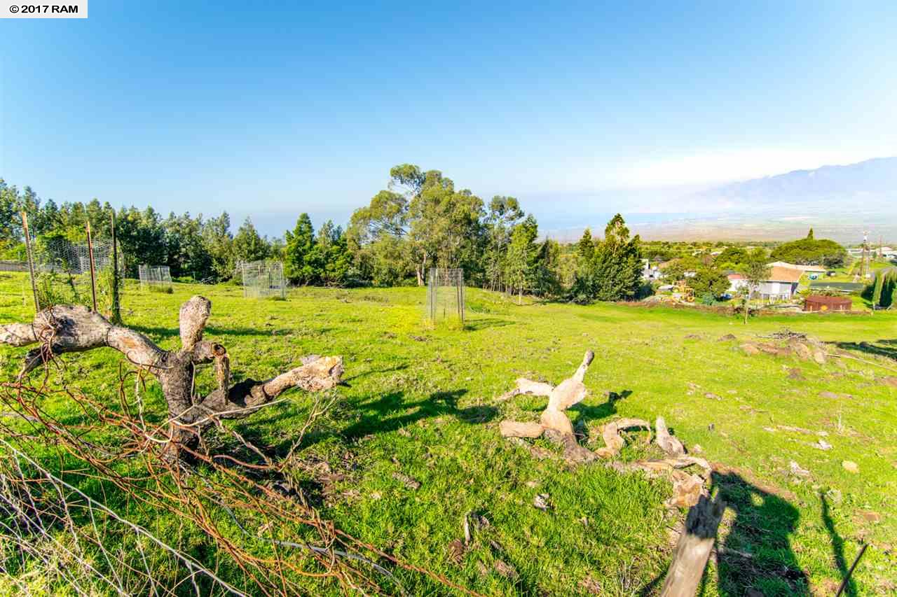 240  Copp Rd , Kula/Ulupalakua/Kanaio home - photo 24 of 27