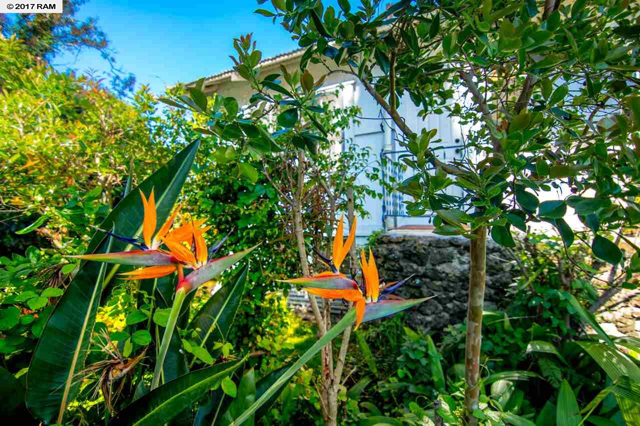 240  Copp Rd , Kula/Ulupalakua/Kanaio home - photo 27 of 27