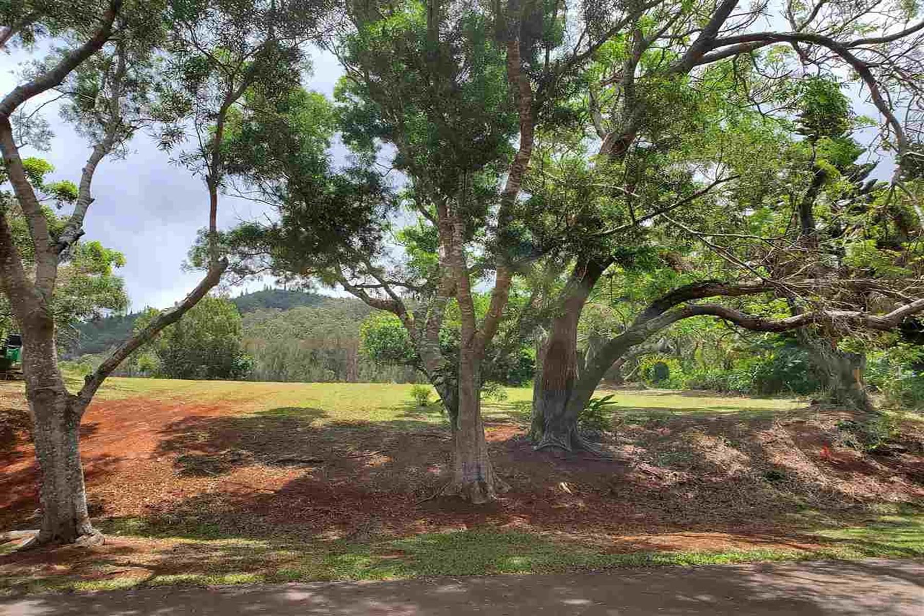 240 Kaunaoa Dr  Lanai City, Hi vacant land for sale - photo 2 of 7