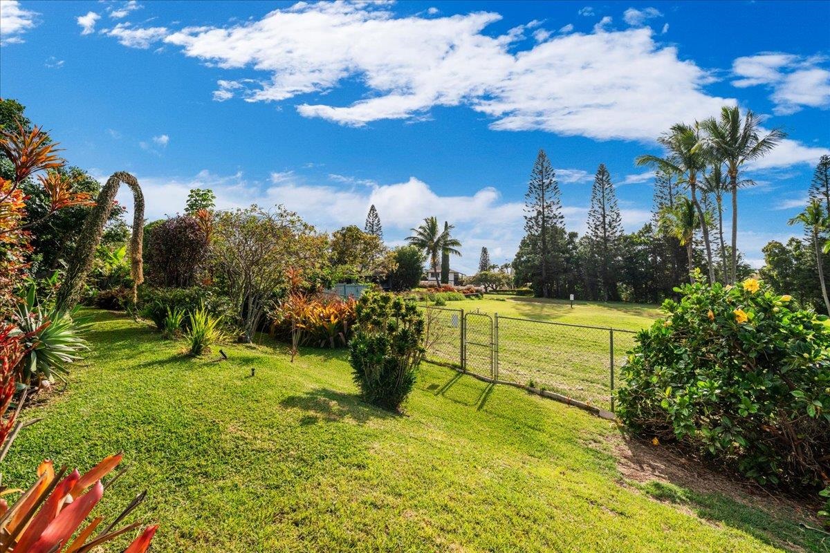 240  Nalani St , Pukalani home - photo 33 of 45