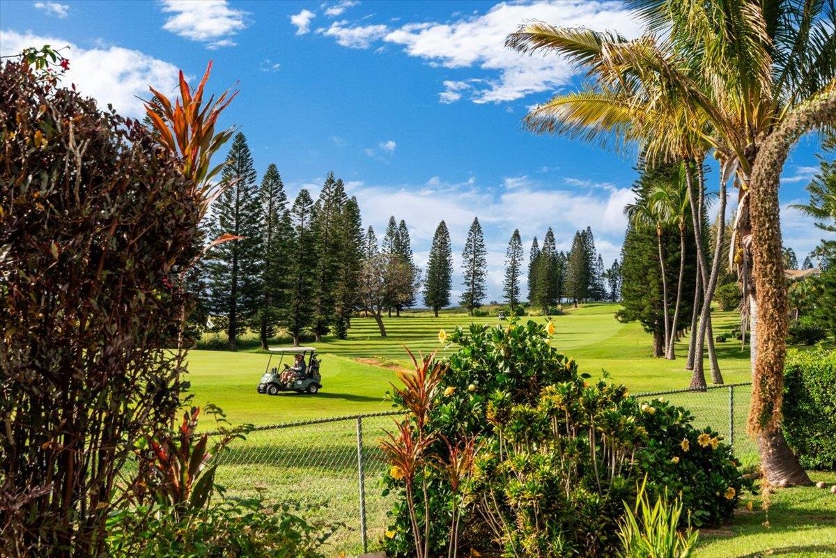 240  Nalani St , Pukalani home - photo 34 of 47