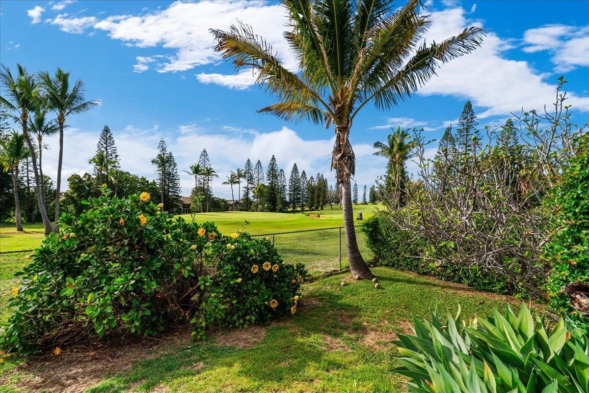 240  Nalani St , Pukalani home - photo 36 of 47