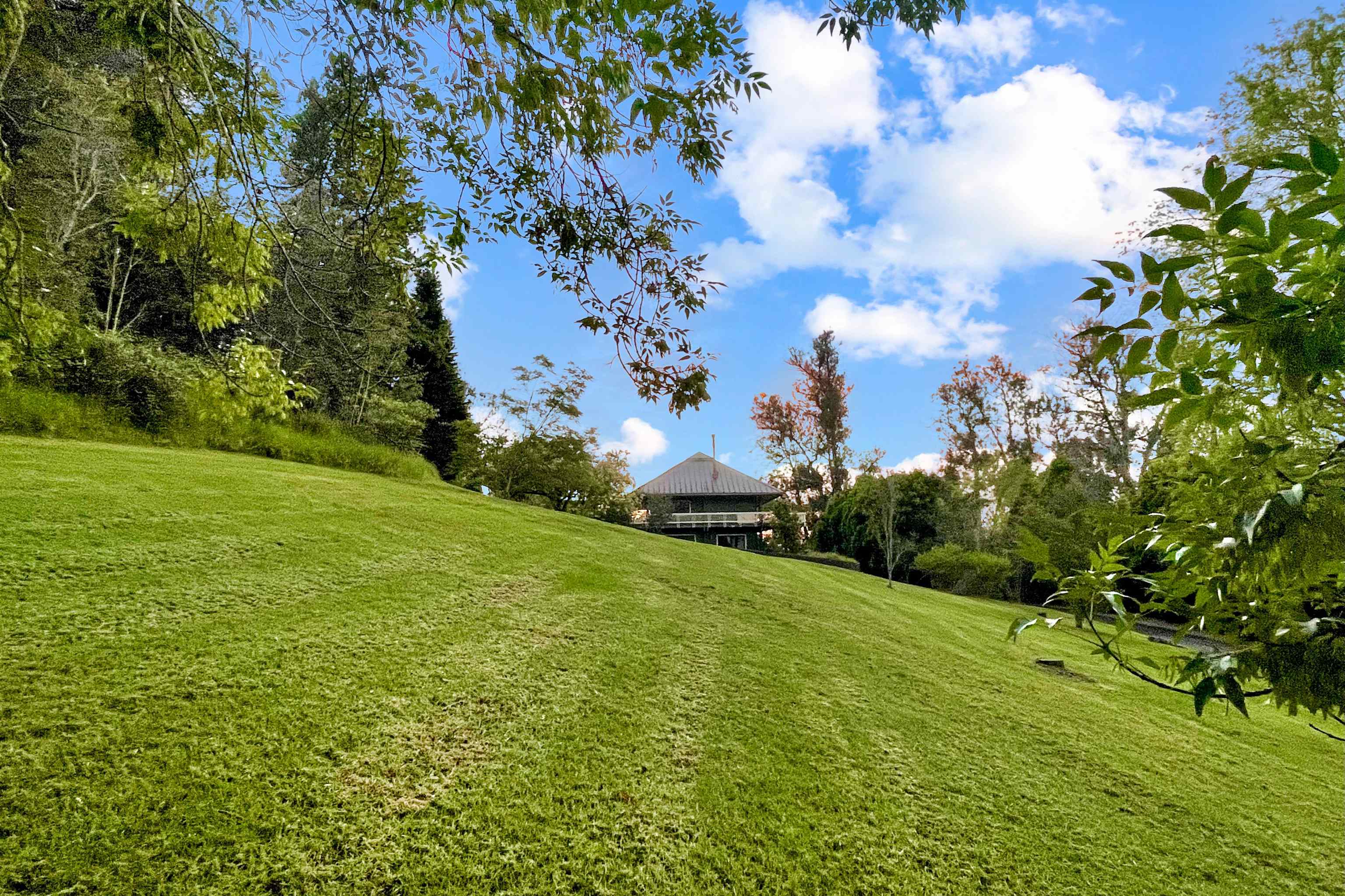 2400  Piiholo Rd , Makawao/Olinda/Haliimaile home - photo 11 of 45