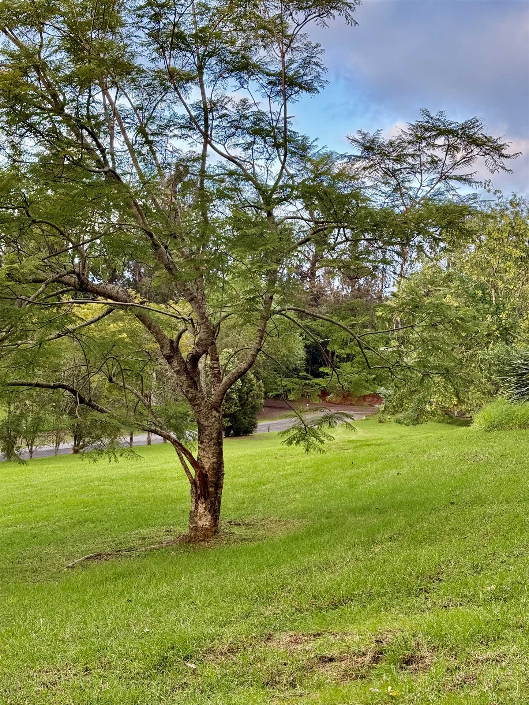 2400  Piiholo Rd , Makawao/Olinda/Haliimaile home - photo 12 of 39