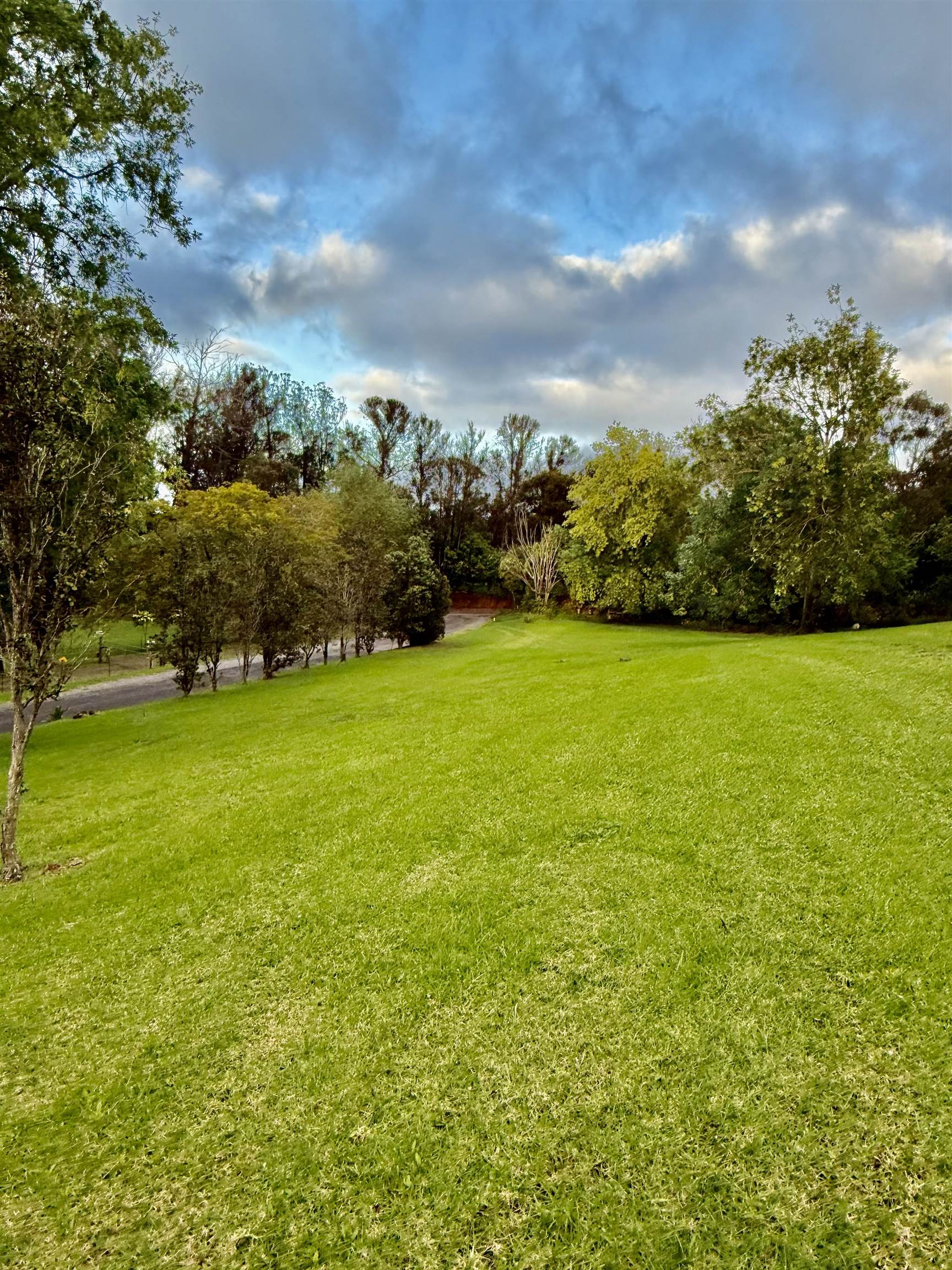 2400  Piiholo Rd , Makawao/Olinda/Haliimaile home - photo 14 of 39