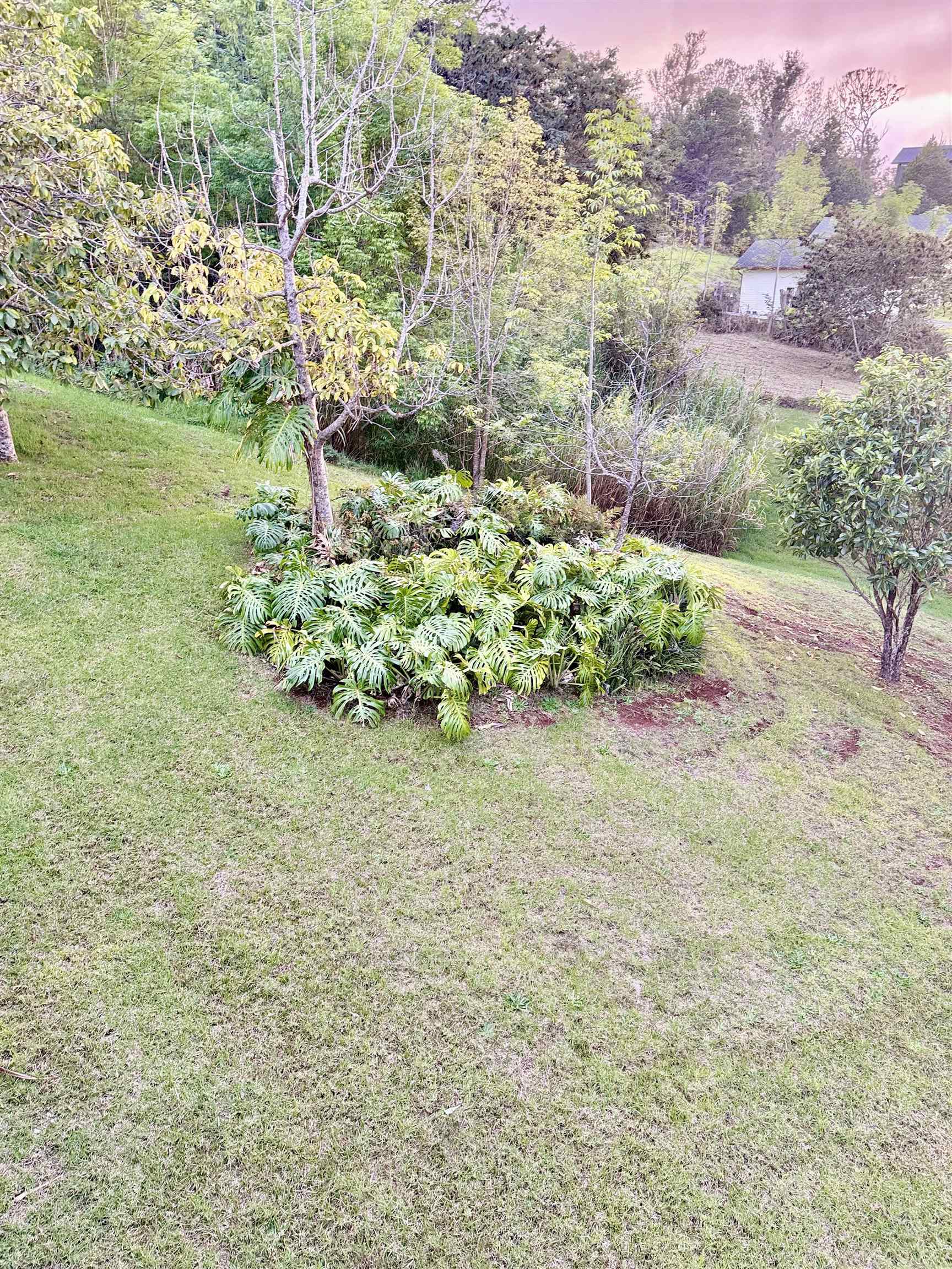 2400  Piiholo Rd , Makawao/Olinda/Haliimaile home - photo 15 of 39