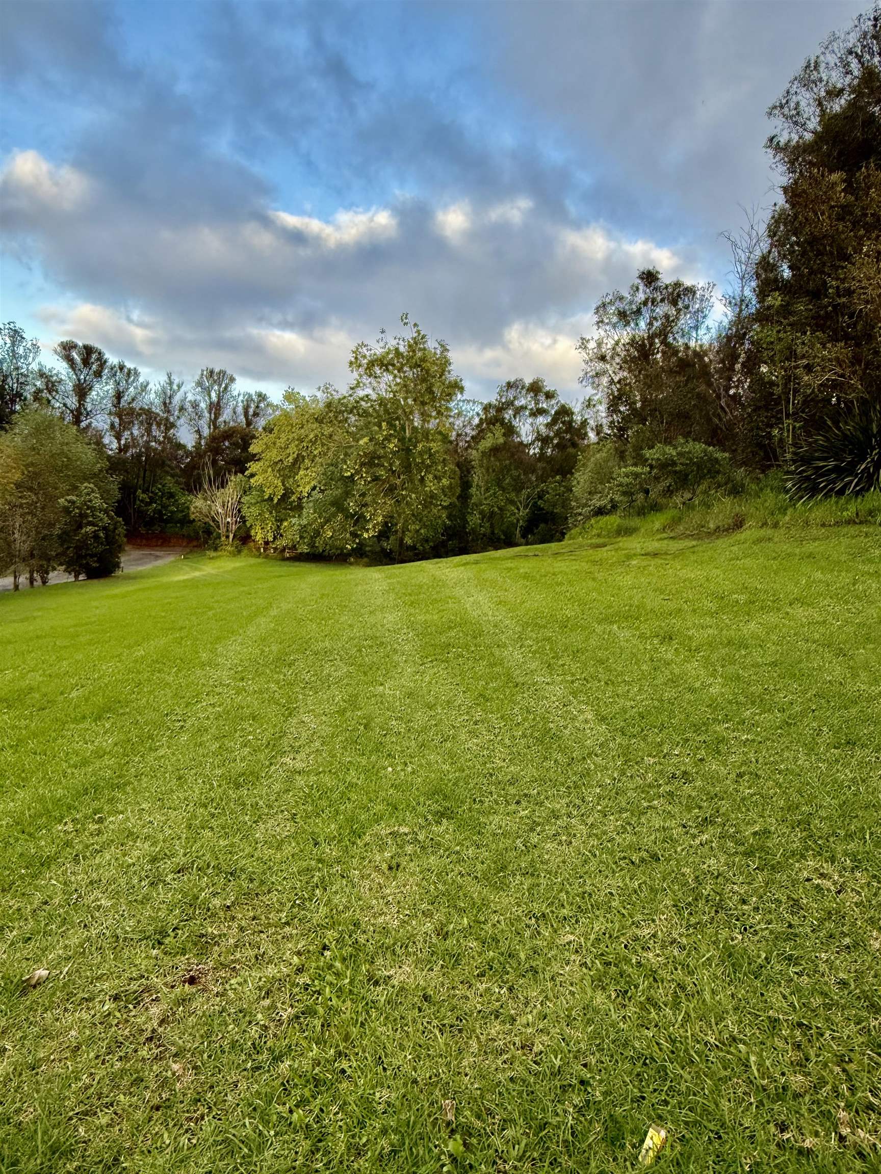 2400  Piiholo Rd , Makawao/Olinda/Haliimaile home - photo 15 of 45