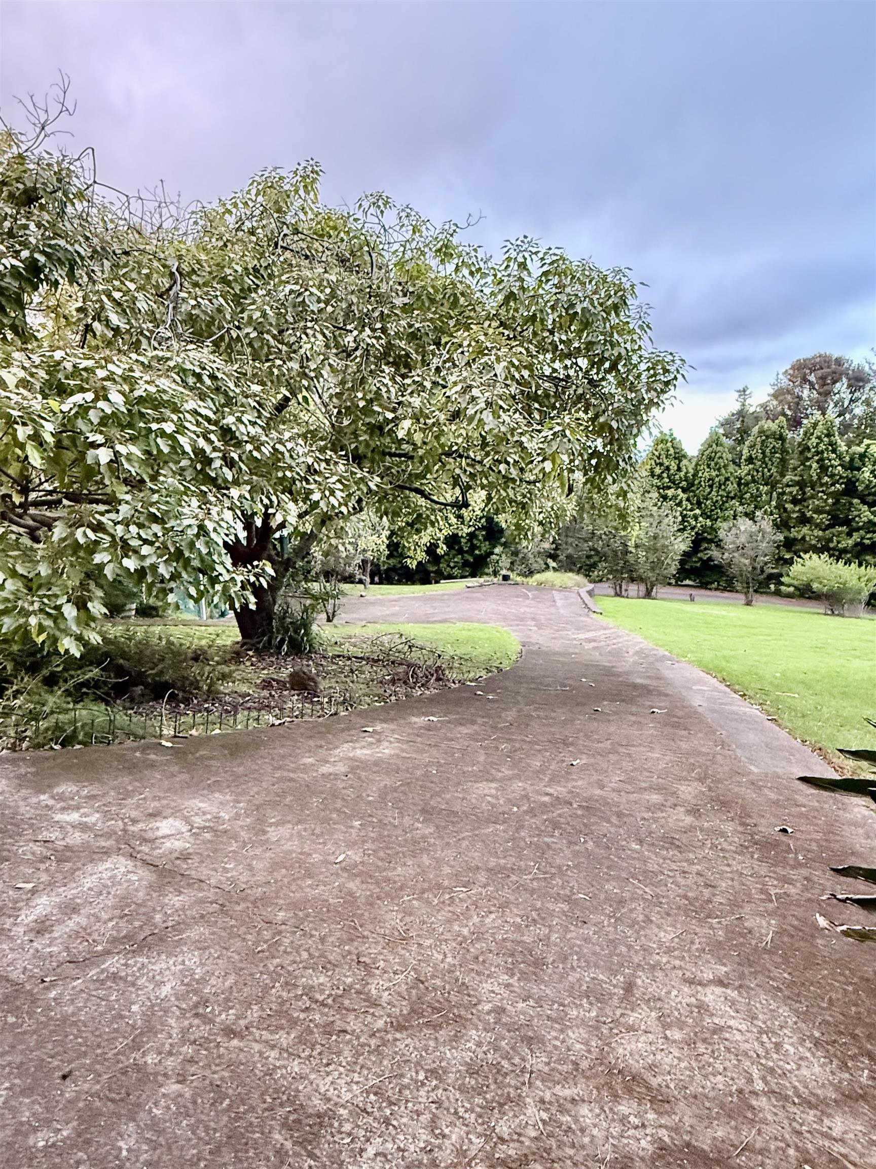 2400  Piiholo Rd , Makawao/Olinda/Haliimaile home - photo 41 of 45