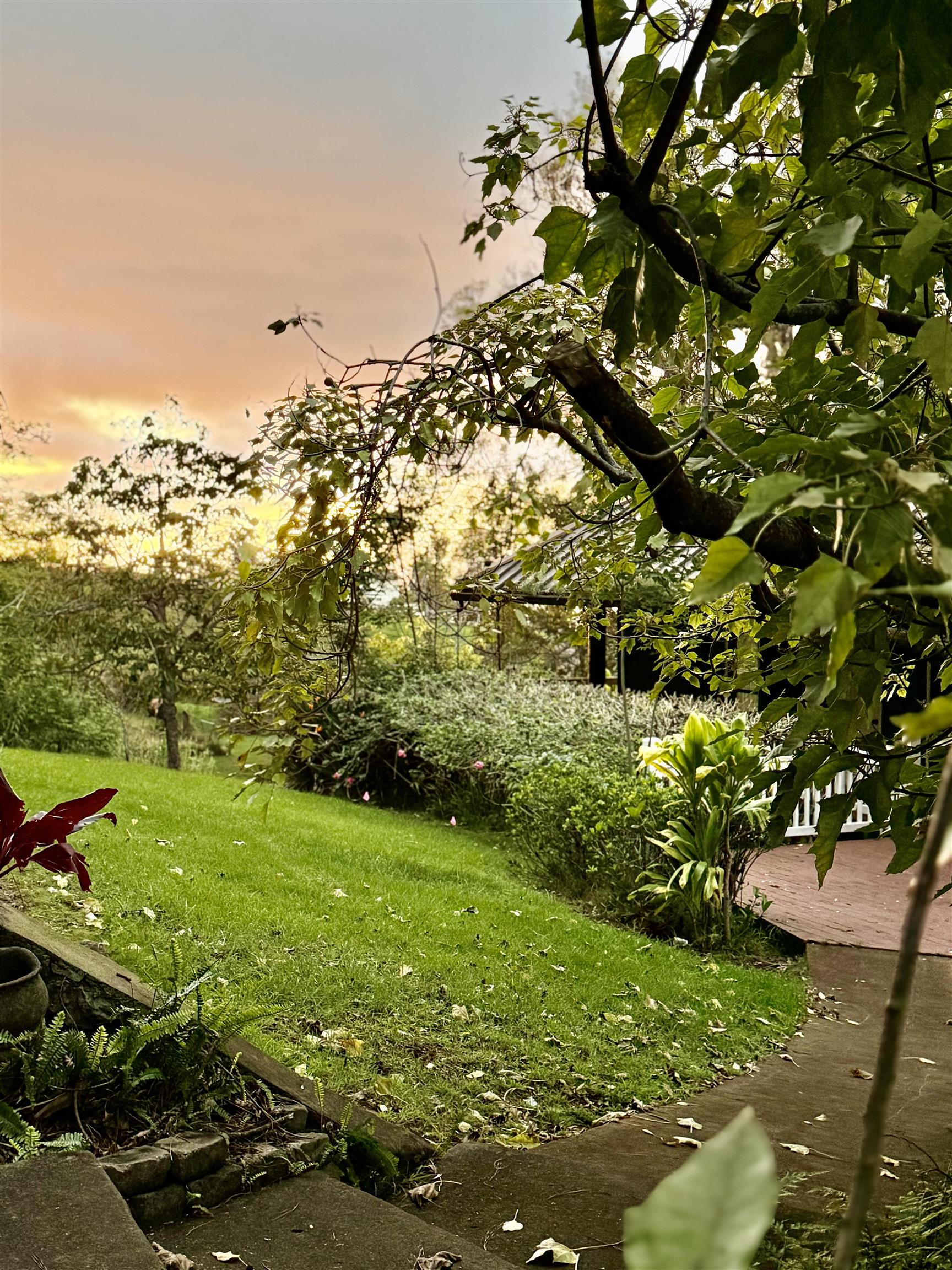 2400  Piiholo Rd , Makawao/Olinda/Haliimaile home - photo 42 of 45