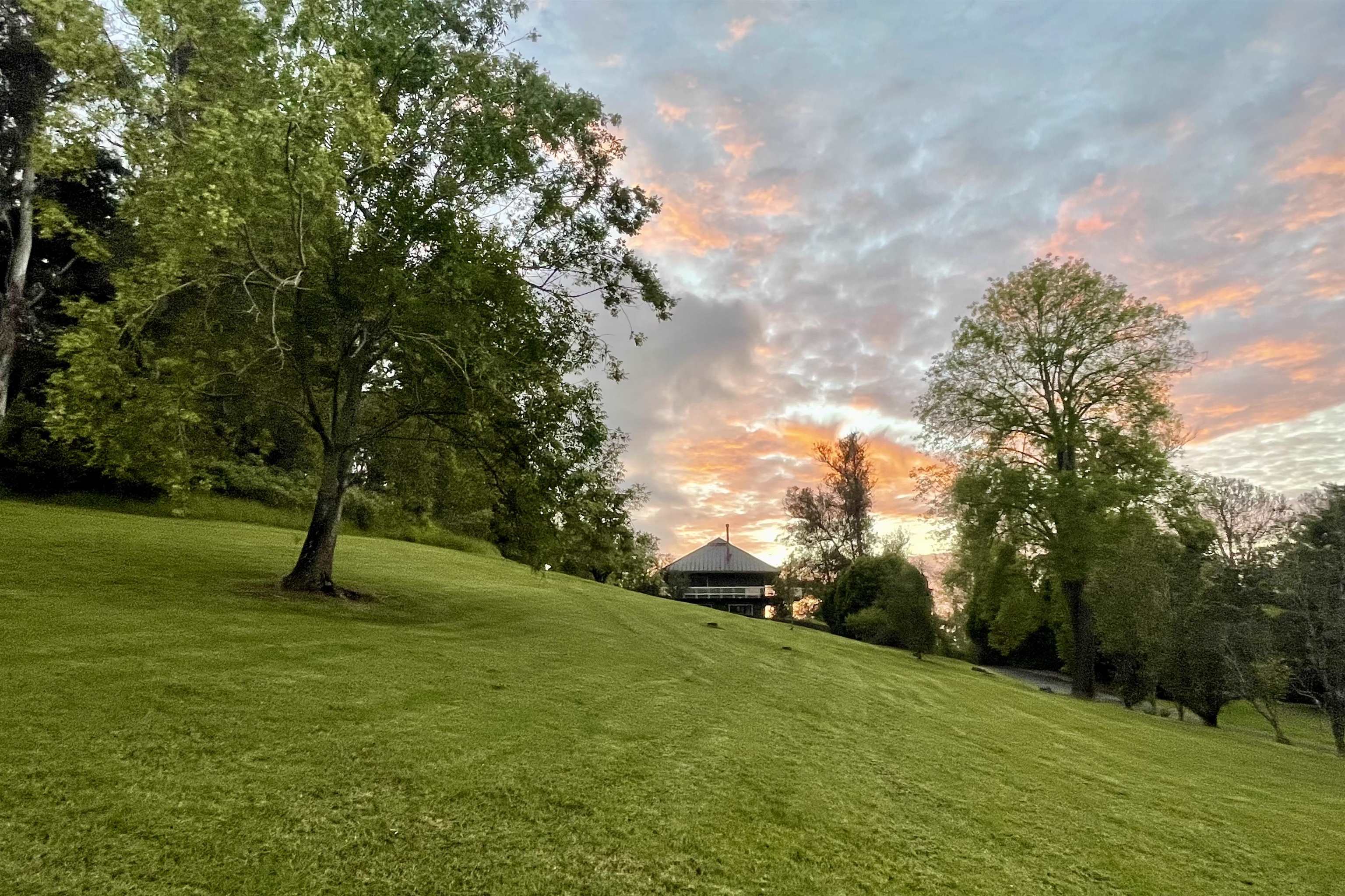 2400  Piiholo Rd , Makawao/Olinda/Haliimaile home - photo 43 of 45