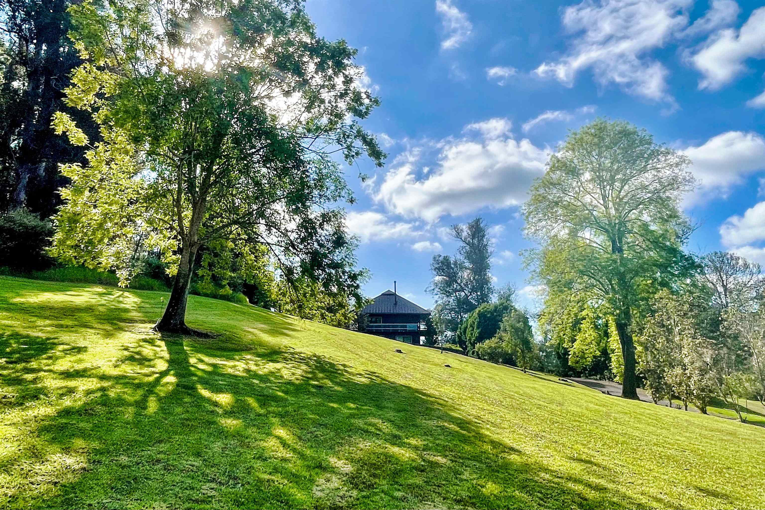 2400  Piiholo Rd , Makawao/Olinda/Haliimaile home - photo 44 of 45