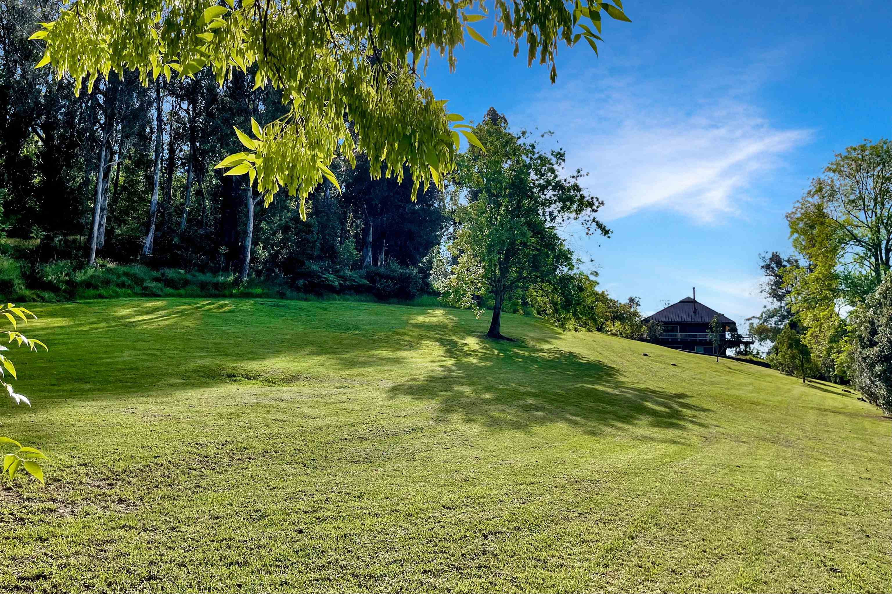 2400  Piiholo Rd , Makawao/Olinda/Haliimaile home - photo 45 of 45