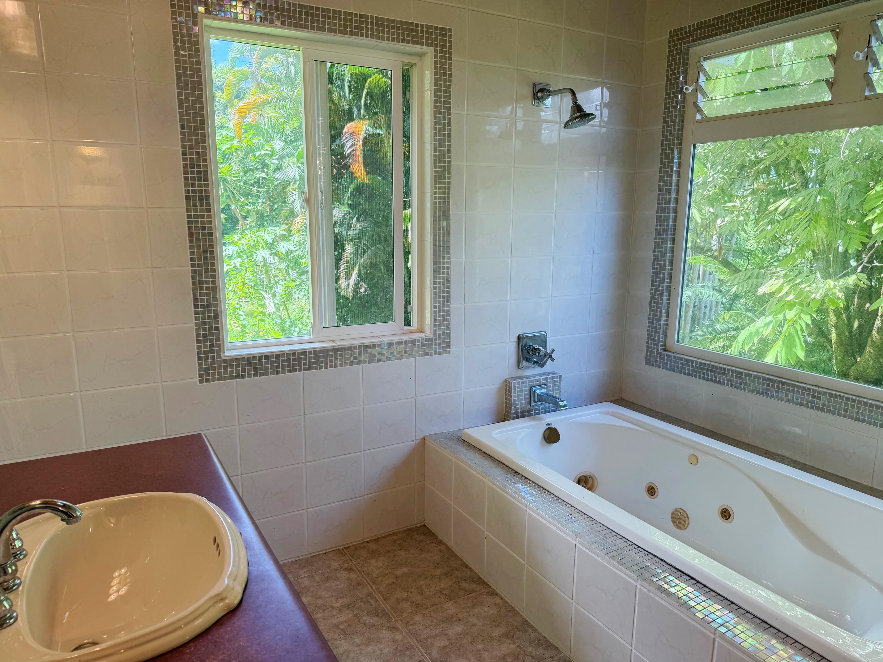 241  Ulaino Rd , Hana home - photo 12 of 32