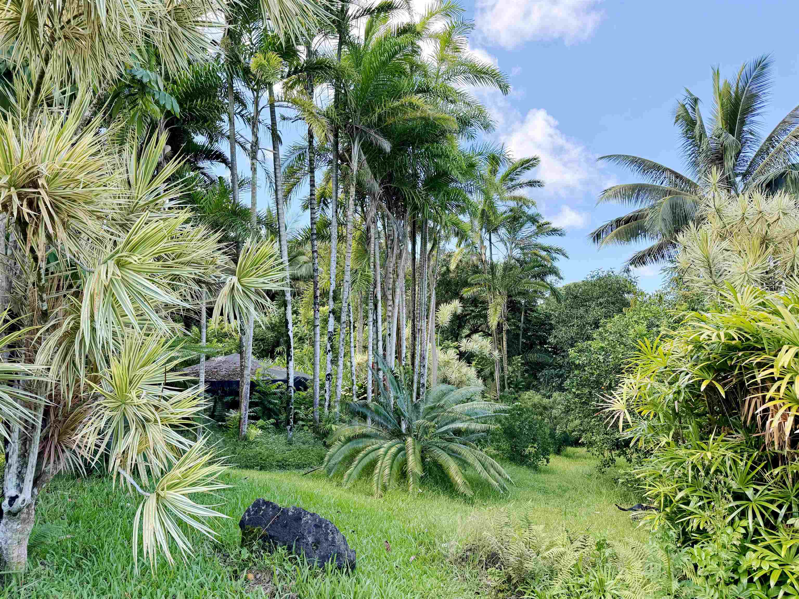 241  Ulaino Rd , Hana home - photo 21 of 32