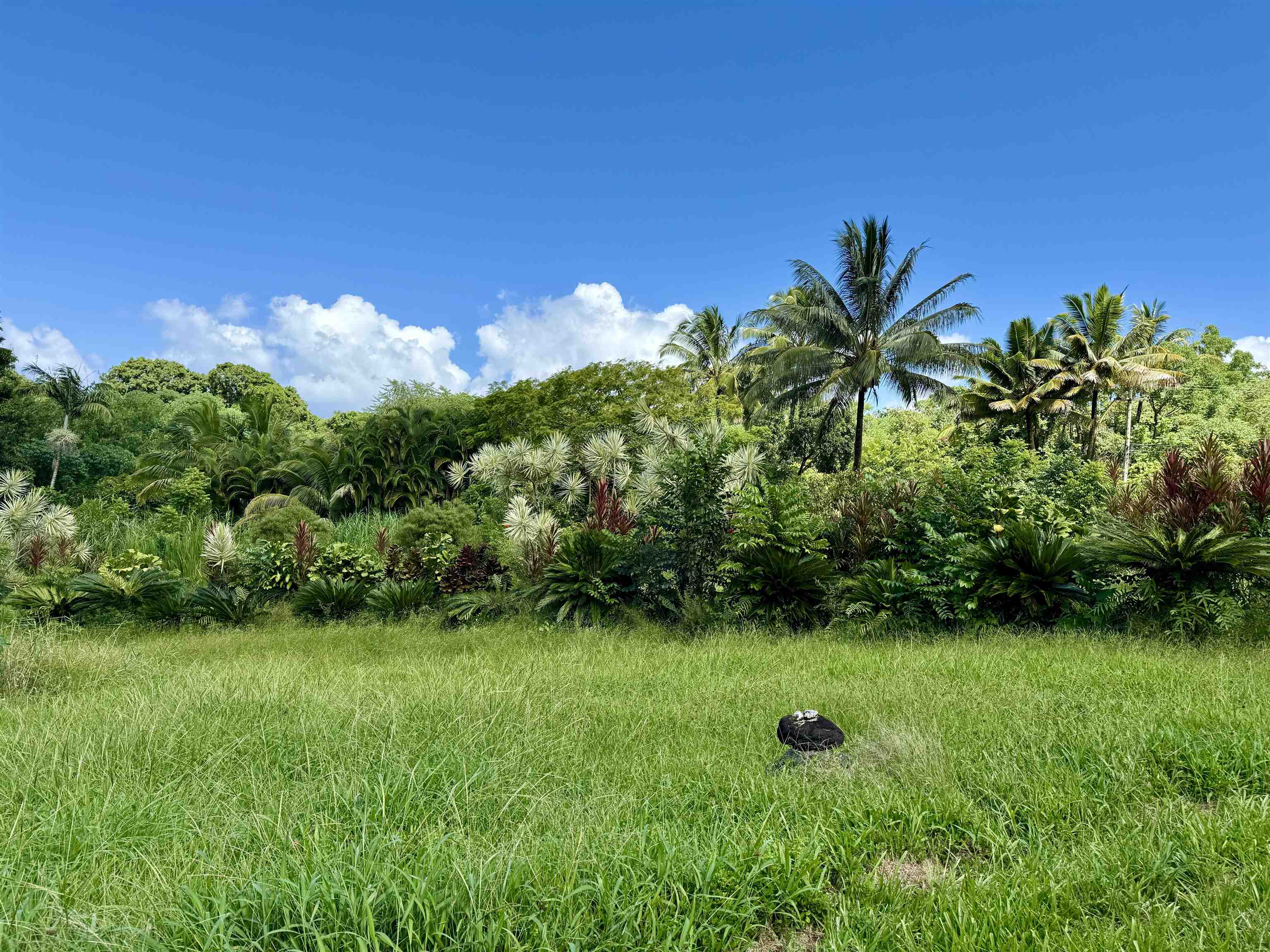 241  Ulaino Rd , Hana home - photo 22 of 32