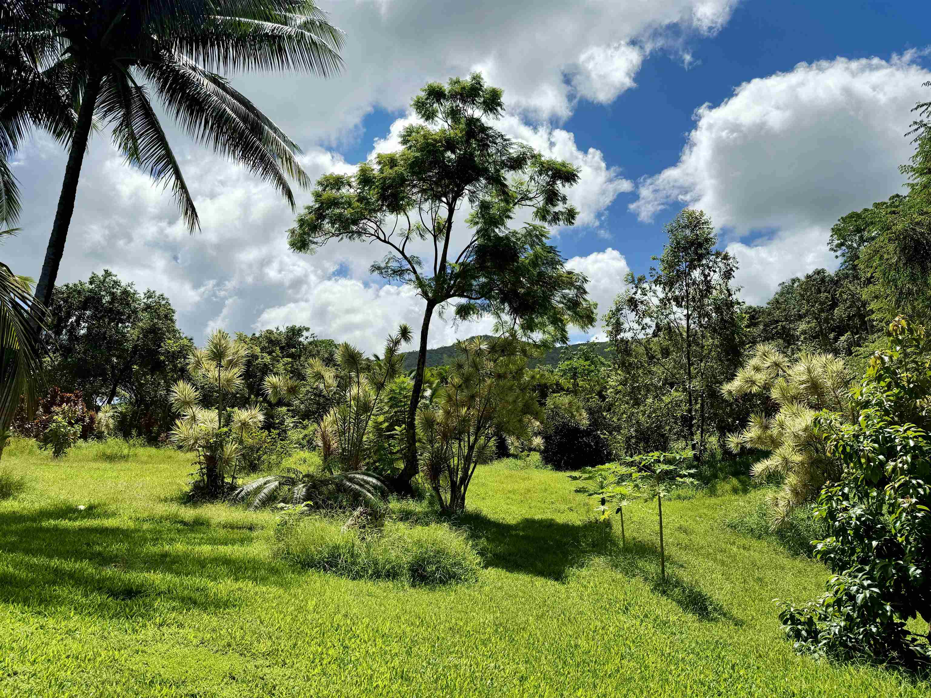 241  Ulaino Rd , Hana home - photo 24 of 32