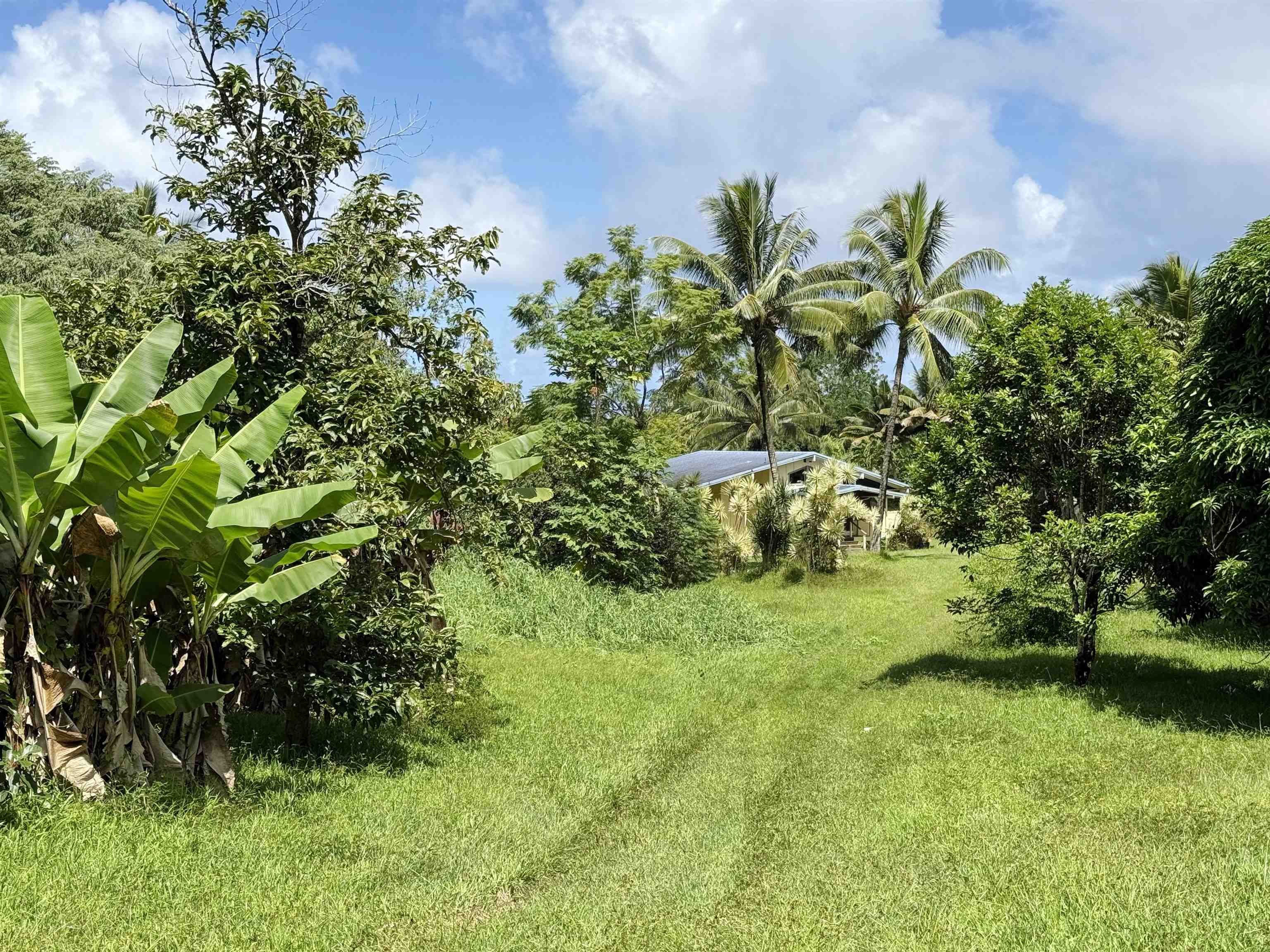 241  Ulaino Rd , Hana home - photo 29 of 32