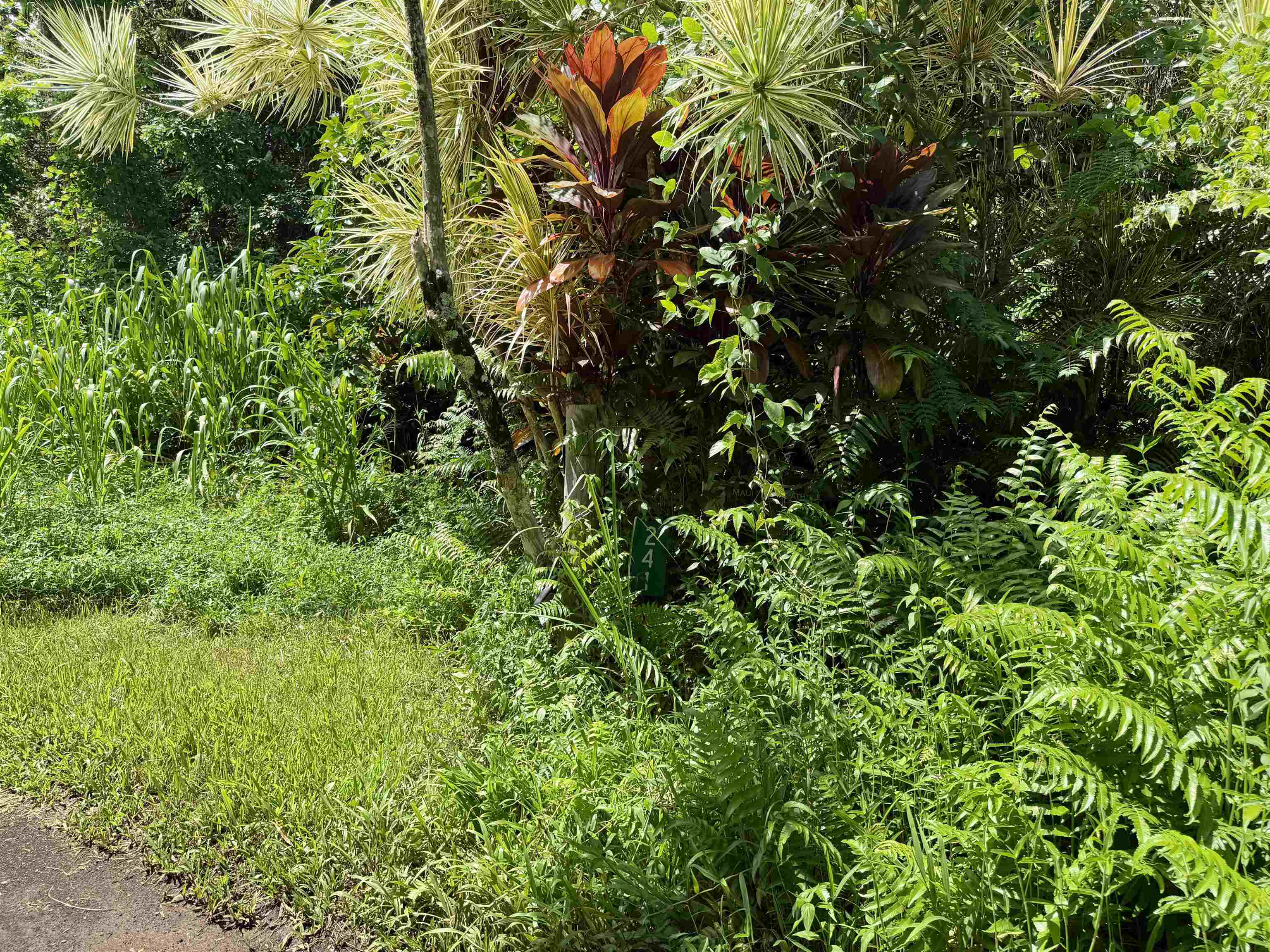 241  Ulaino Rd , Hana home - photo 30 of 32