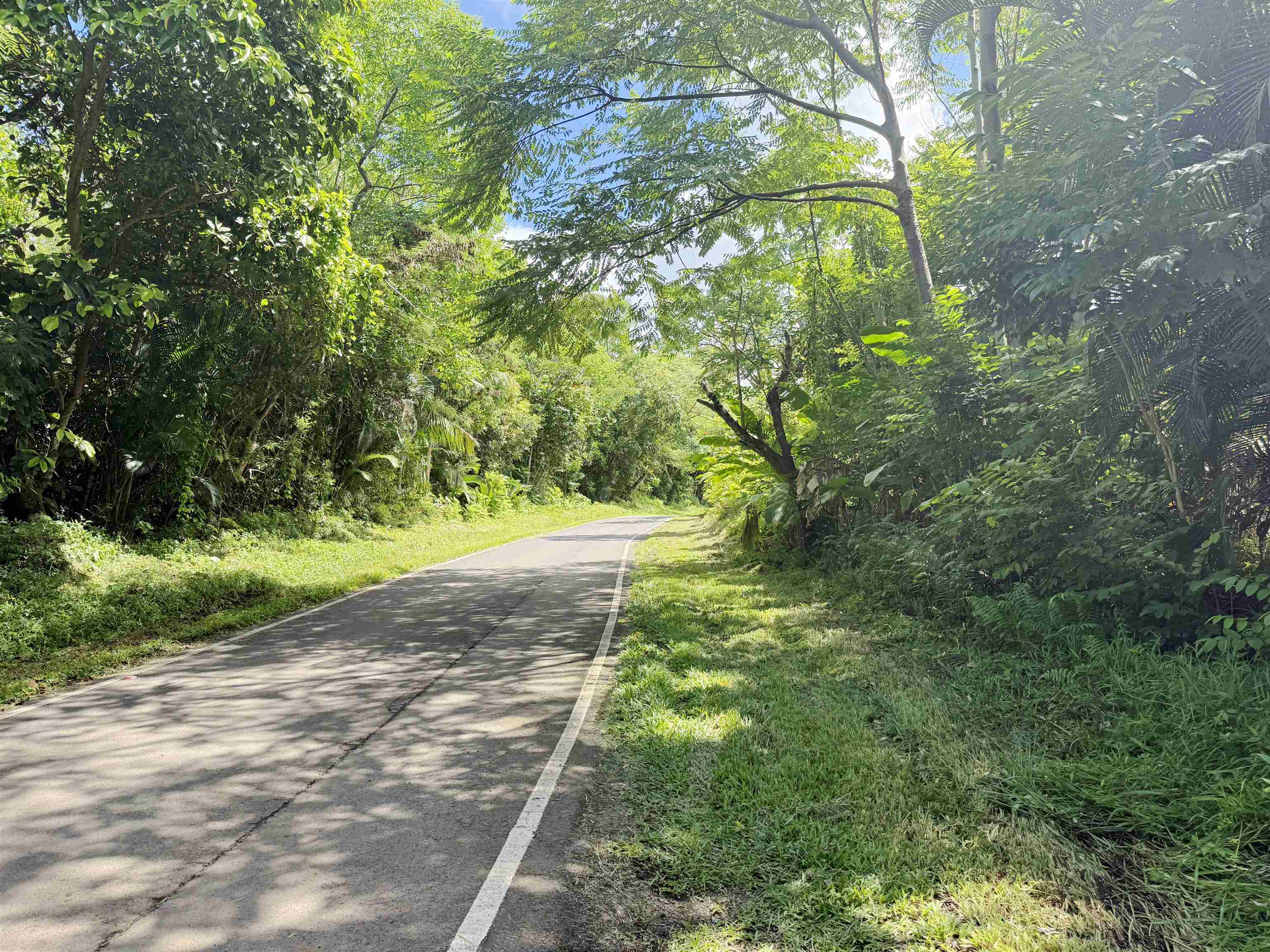 241  Ulaino Rd , Hana home - photo 31 of 32