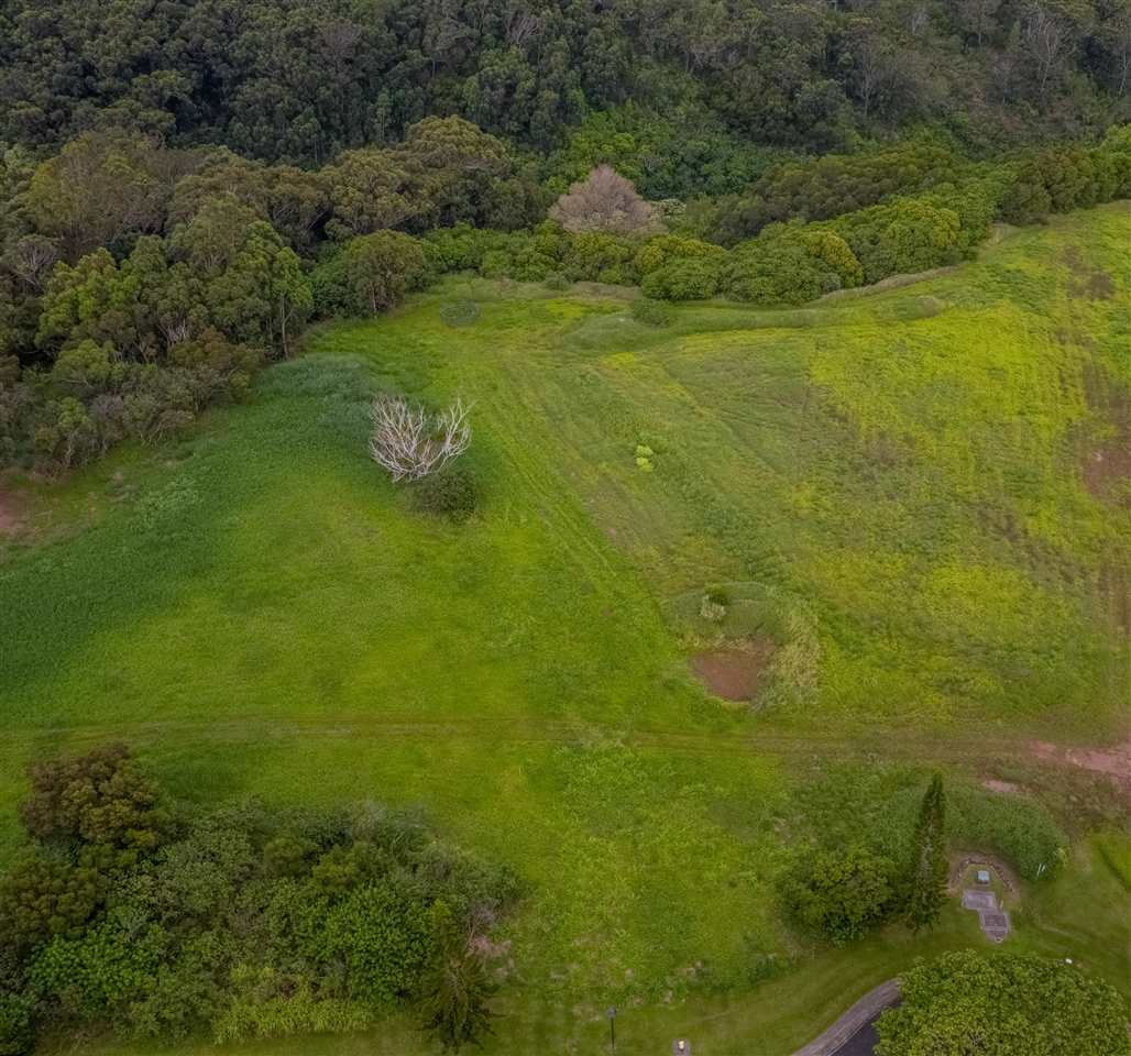 242 Keoawa St 22 Lahaina, Hi vacant land for sale - photo 9 of 10