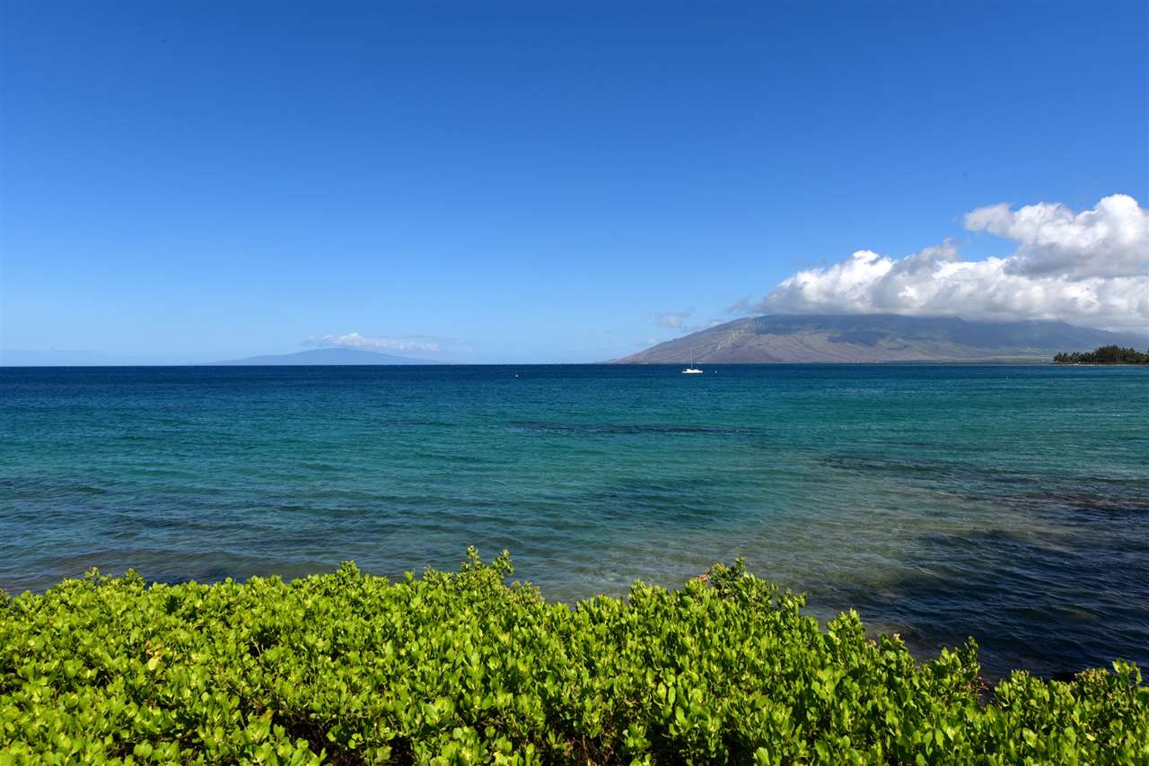 Royal Mauian condo # 104, Kihei, Hawaii - photo 21 of 27