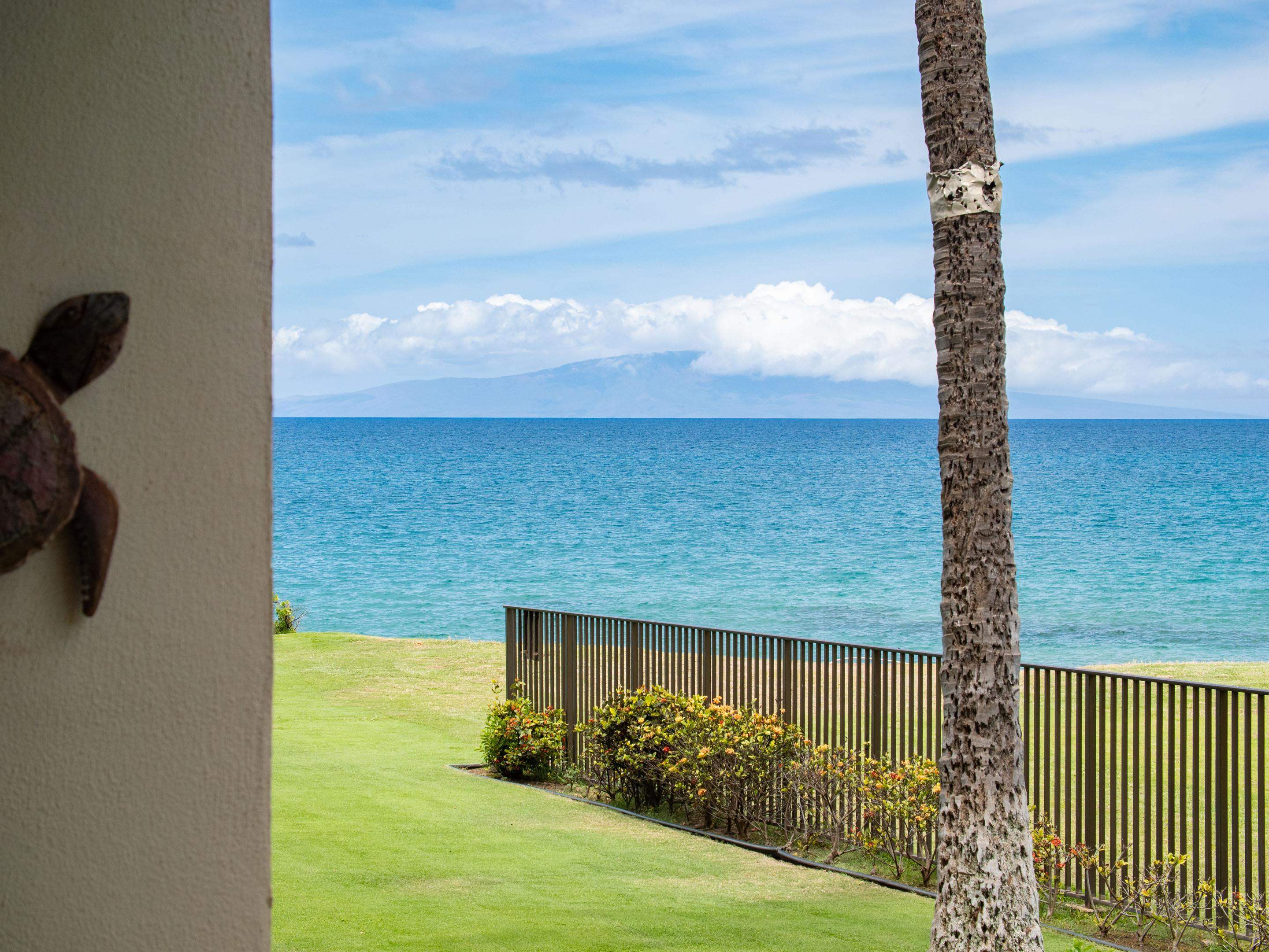 Royal Mauian condo # 104, Kihei, Hawaii - photo 28 of 41